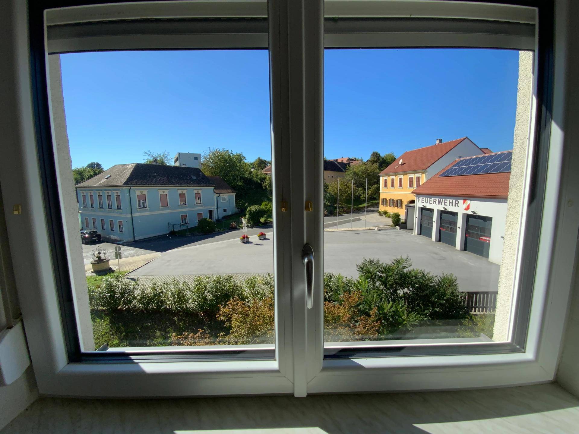 IMG_7526.jpeg