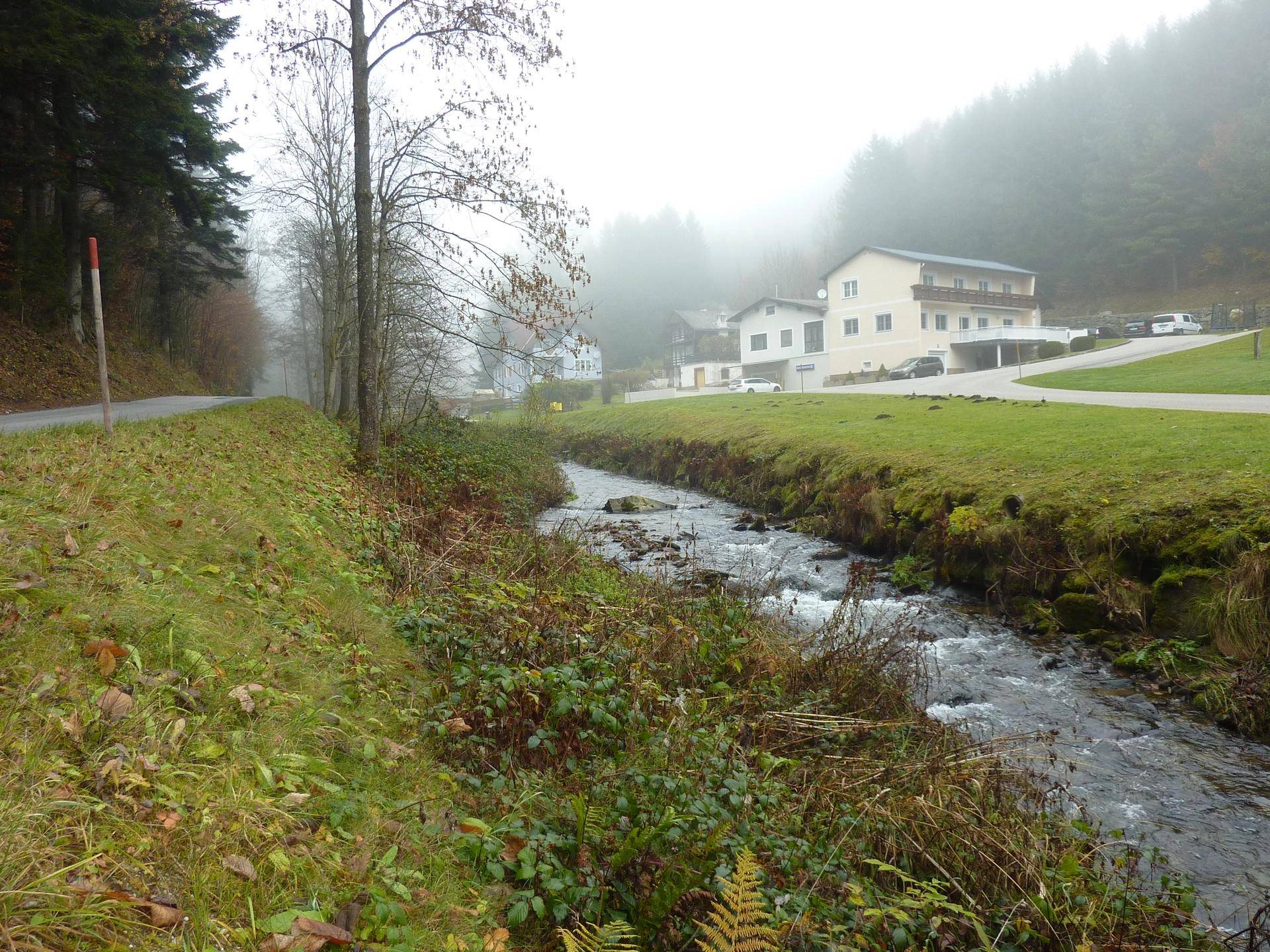 Bachlauf in einer grünen Landschaft mit Häusern und Wald im Hintergrund.