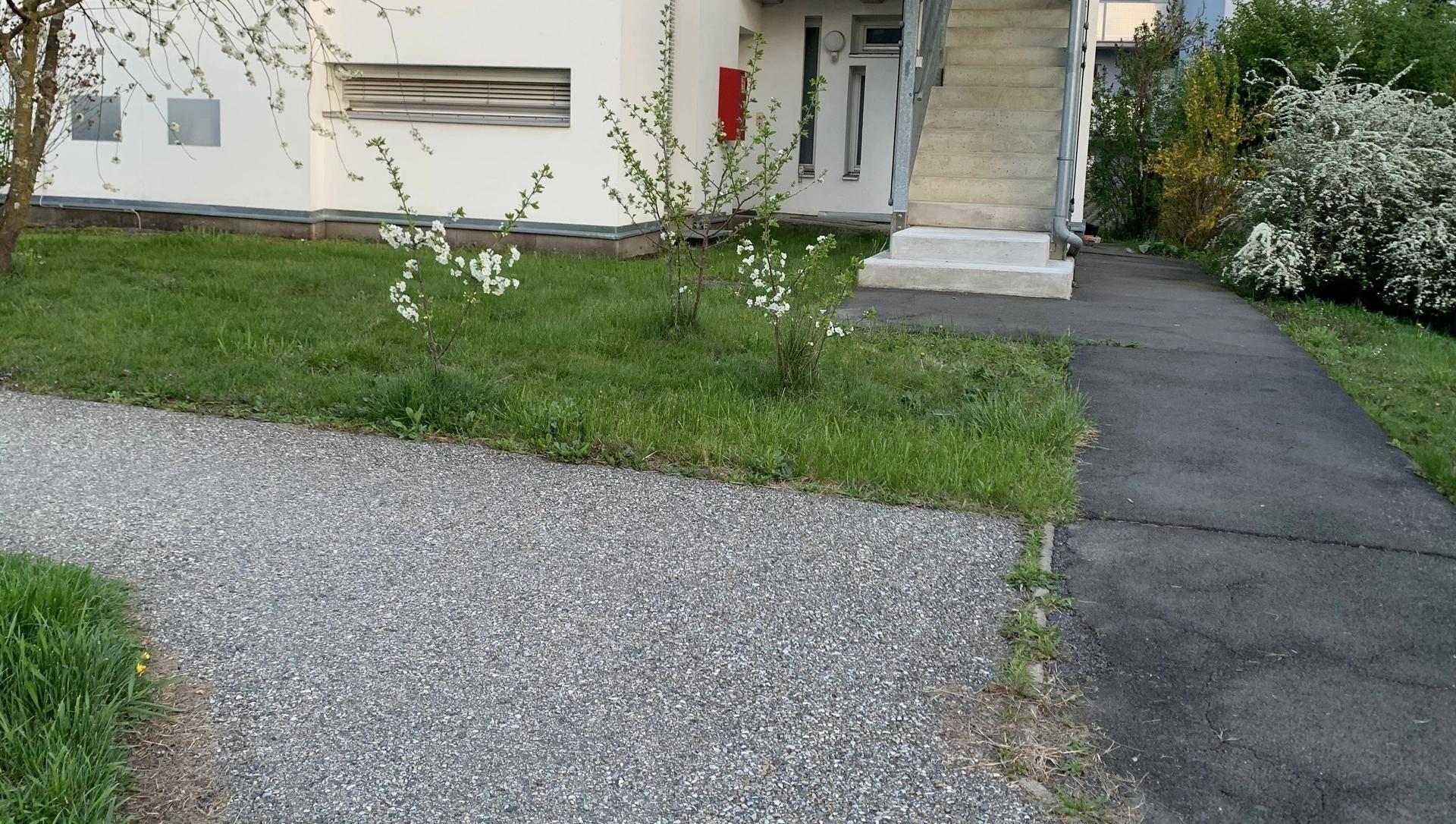 Eingangsbereich des modernen Gebäudes mit einem gepflasterten Weg und einer kleinen Grünfläche.
