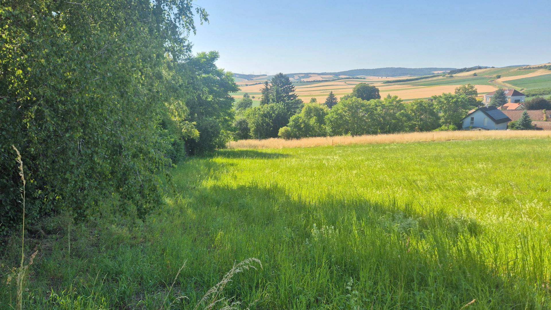Blick auf das Grundstück 2
