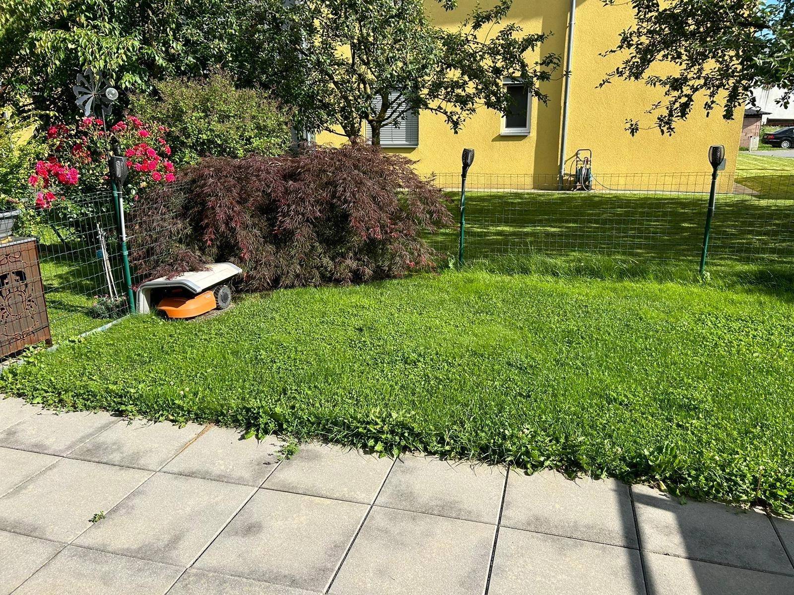 Top 3 Garten Bild 1.jpg