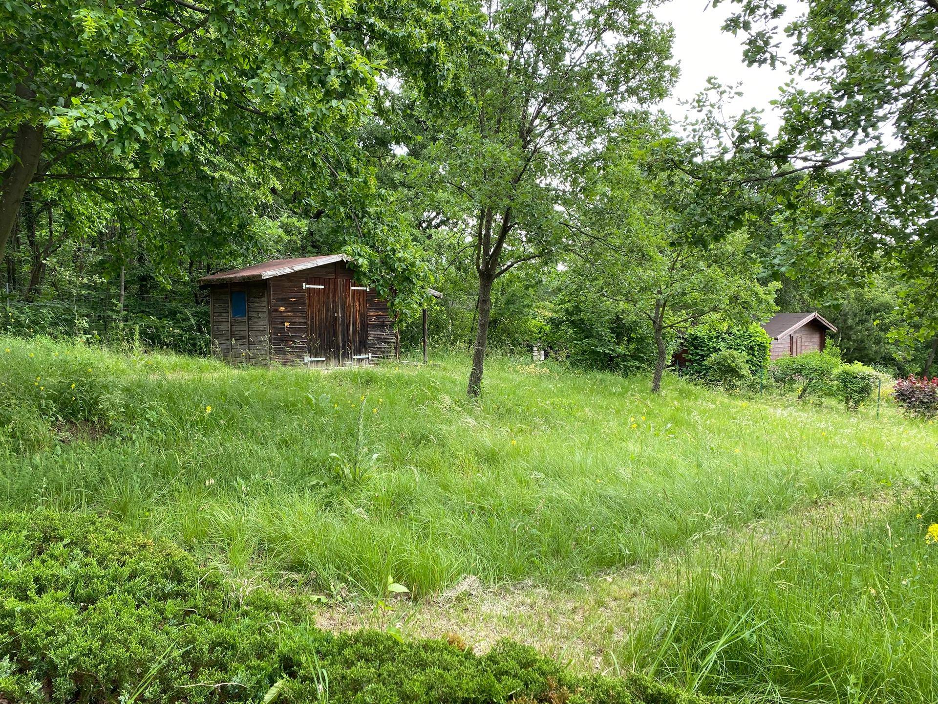 Naturbelassener Gartenbereich mit hohen Gräsern und zwei kleinen Holzschuppen im Grünen.