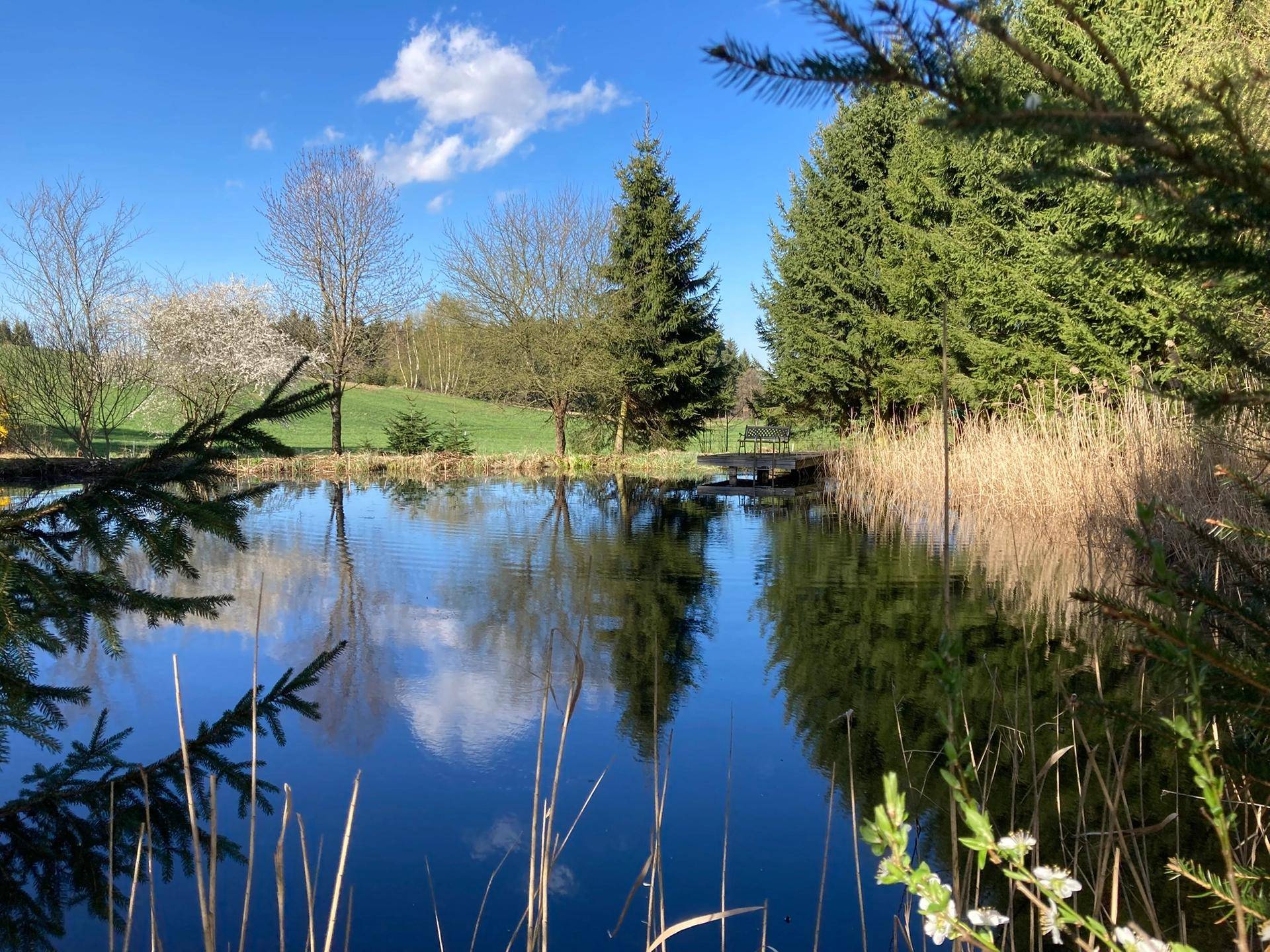 Titelbild - Großer Teich