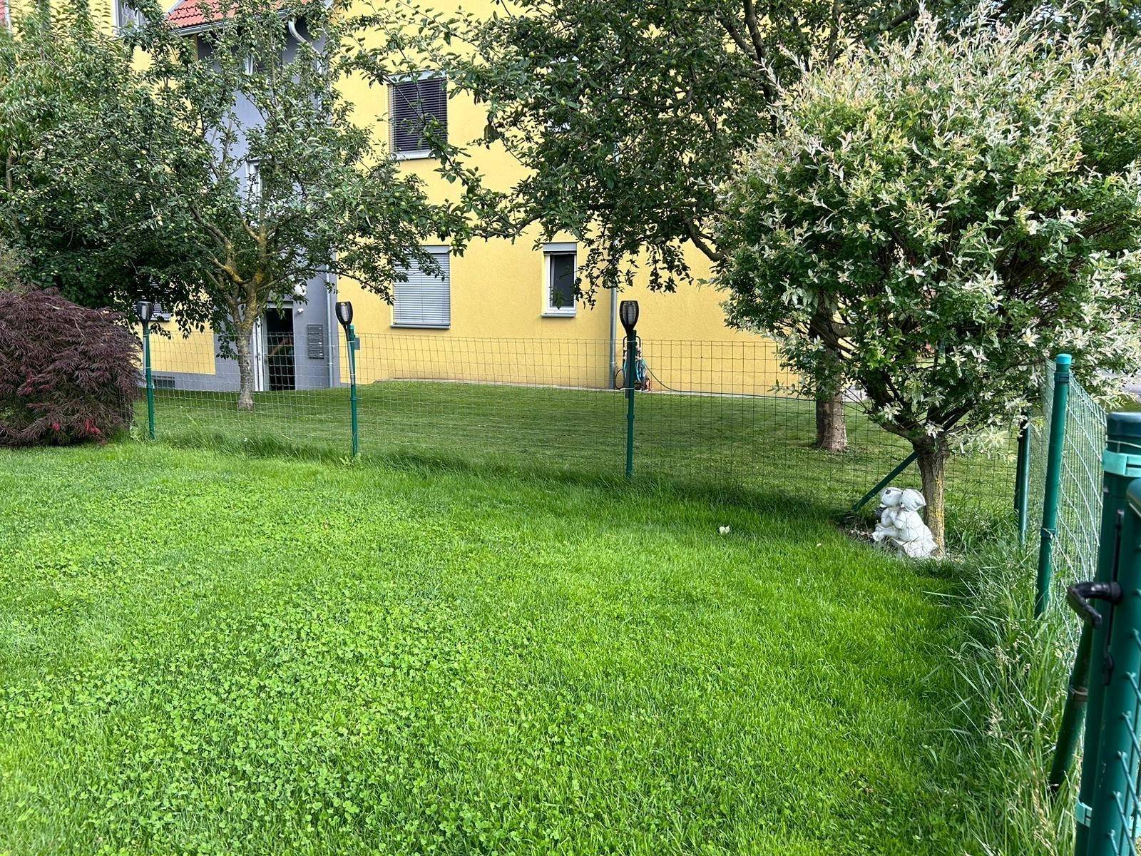 Top 3 Garten Bild 4.jpg