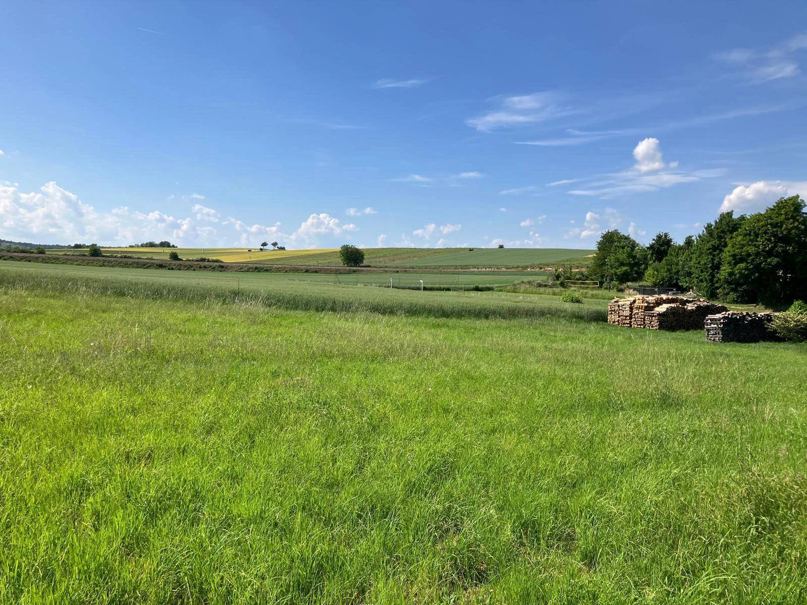 Weitläufiges grünes Feld mit Holzstapeln und hügeliger Landschaft im Hintergrund.