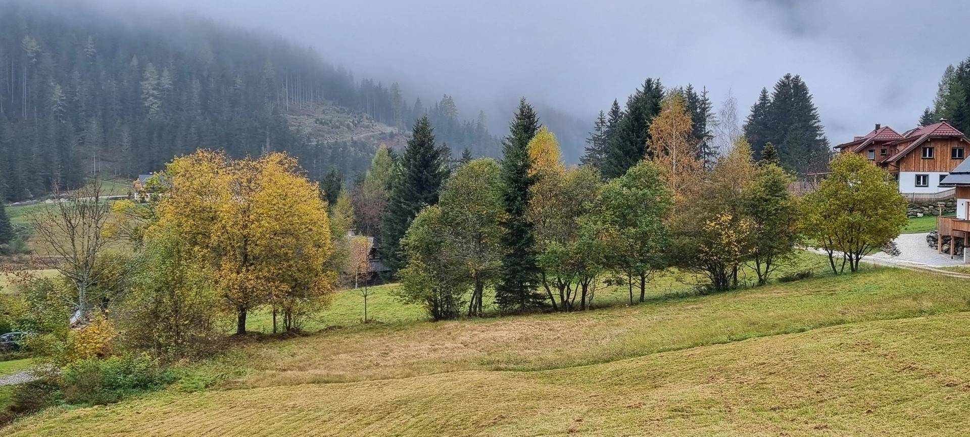 Donnersbachwald 172
