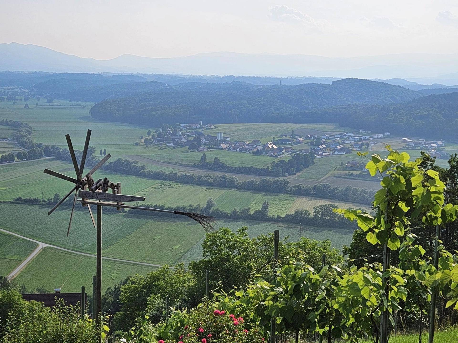 Malerischer Ausblick über ein grünes Tal mit Weinbergen, Feldern und einem kleinen Dorf in der Ferne.