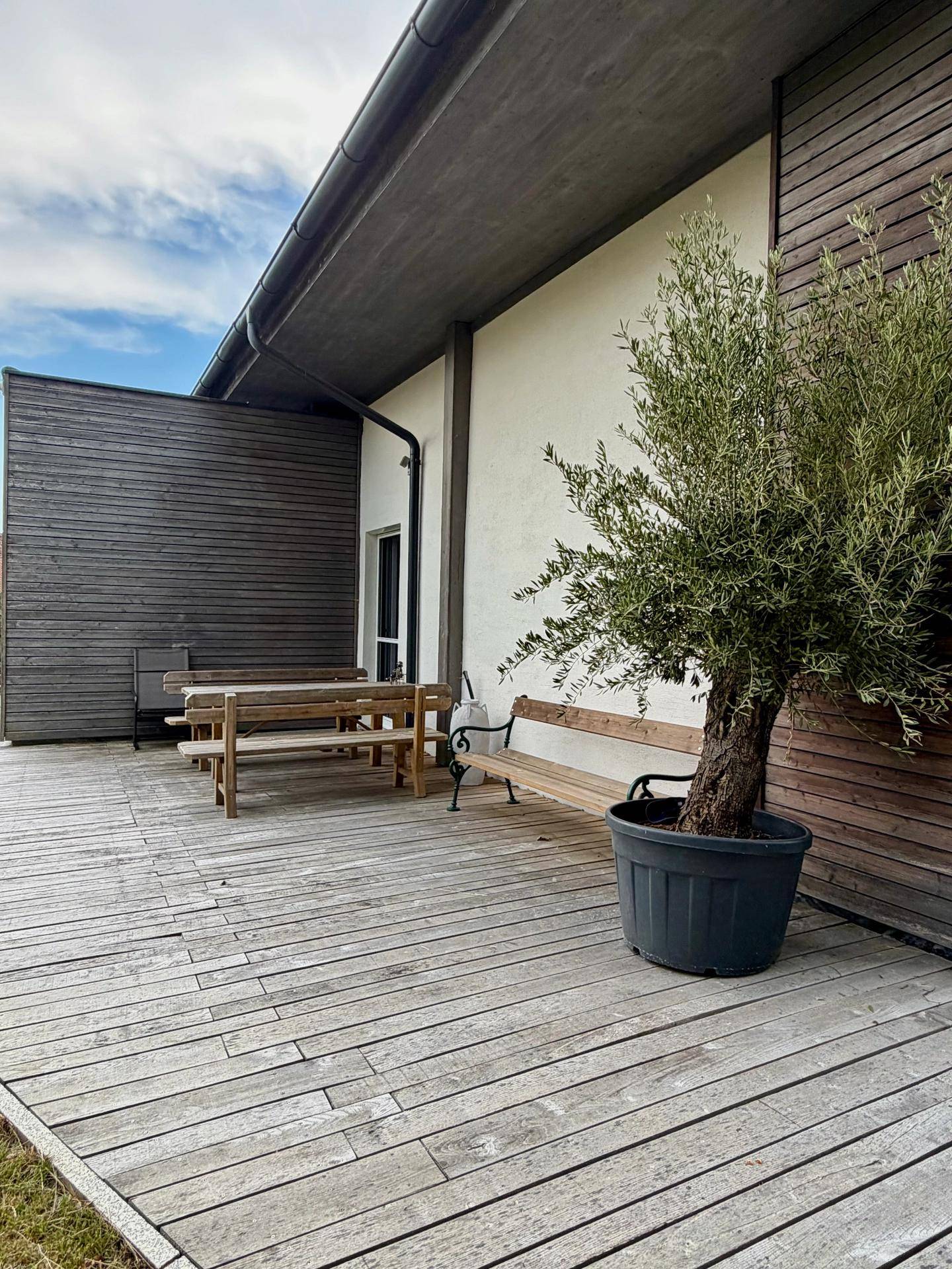 Holzterrasse mit Sitzbank und Topfpflanze, umgeben von viel Grün und Bäumen, bietet Ruhe.