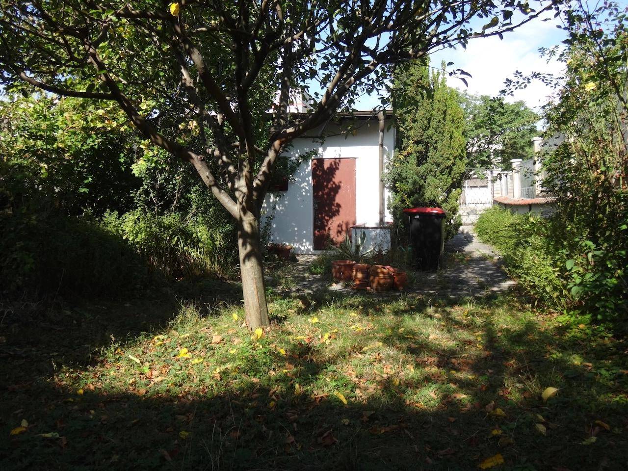 Garten 2