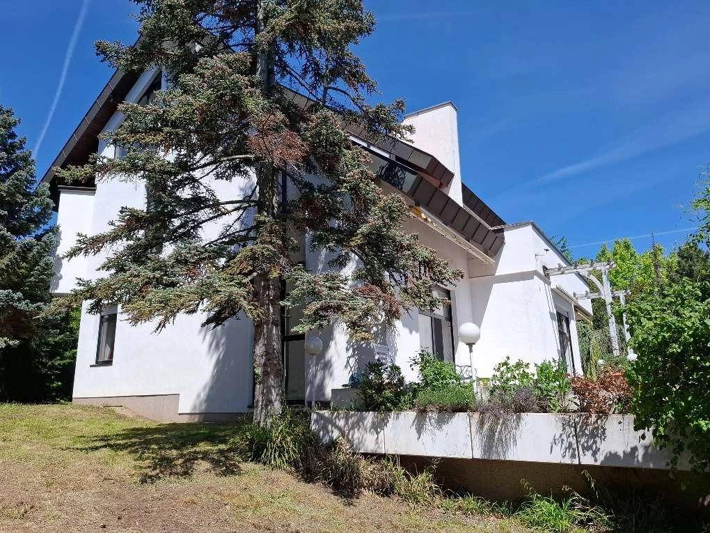 Repräsentative Architektenvilla in absoluter Ruhelage am Mitterberg mit Bürodachgeschoß- provisionsfrei! (Provisionsfrei) - Więcej