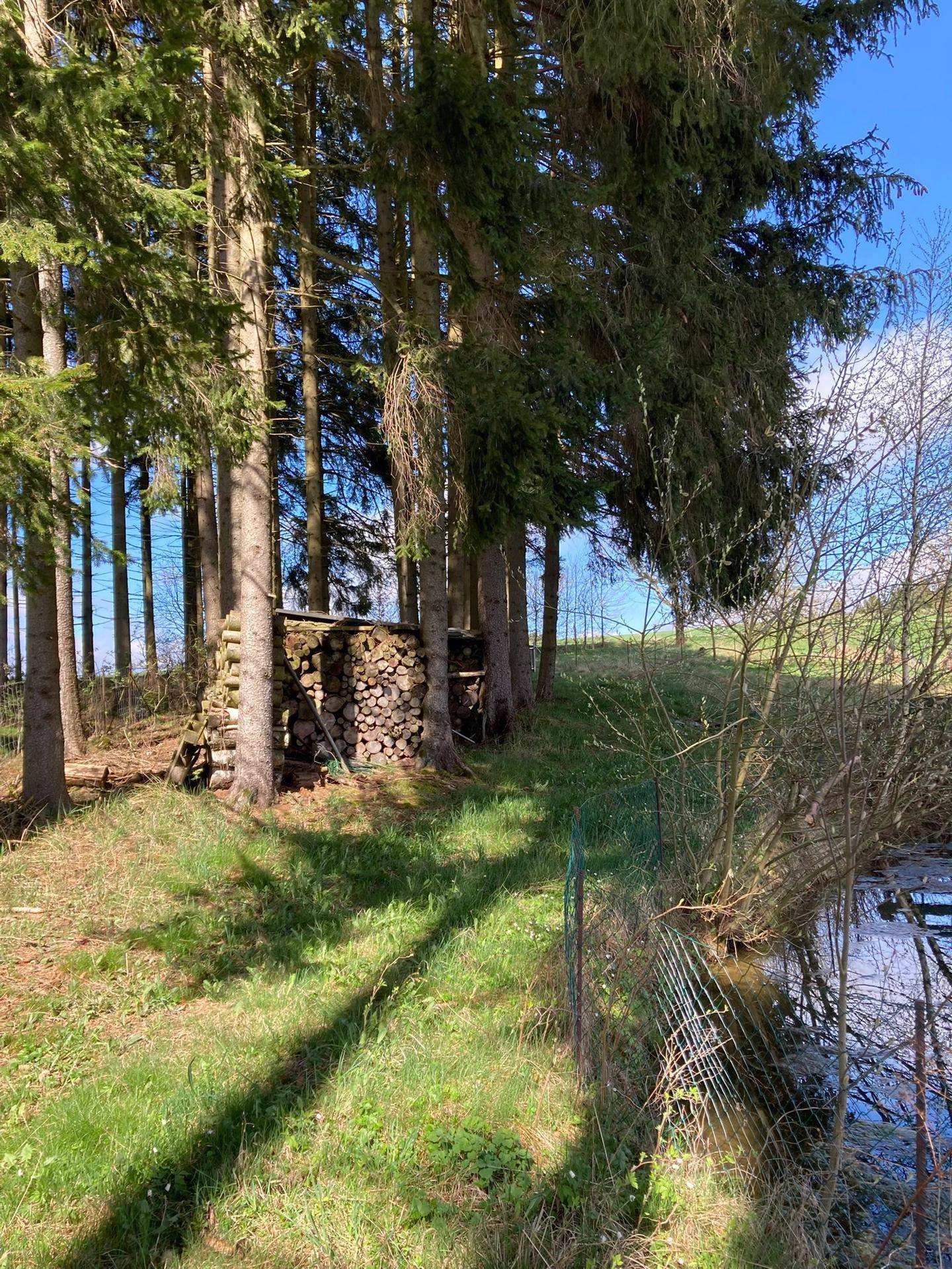 Wald