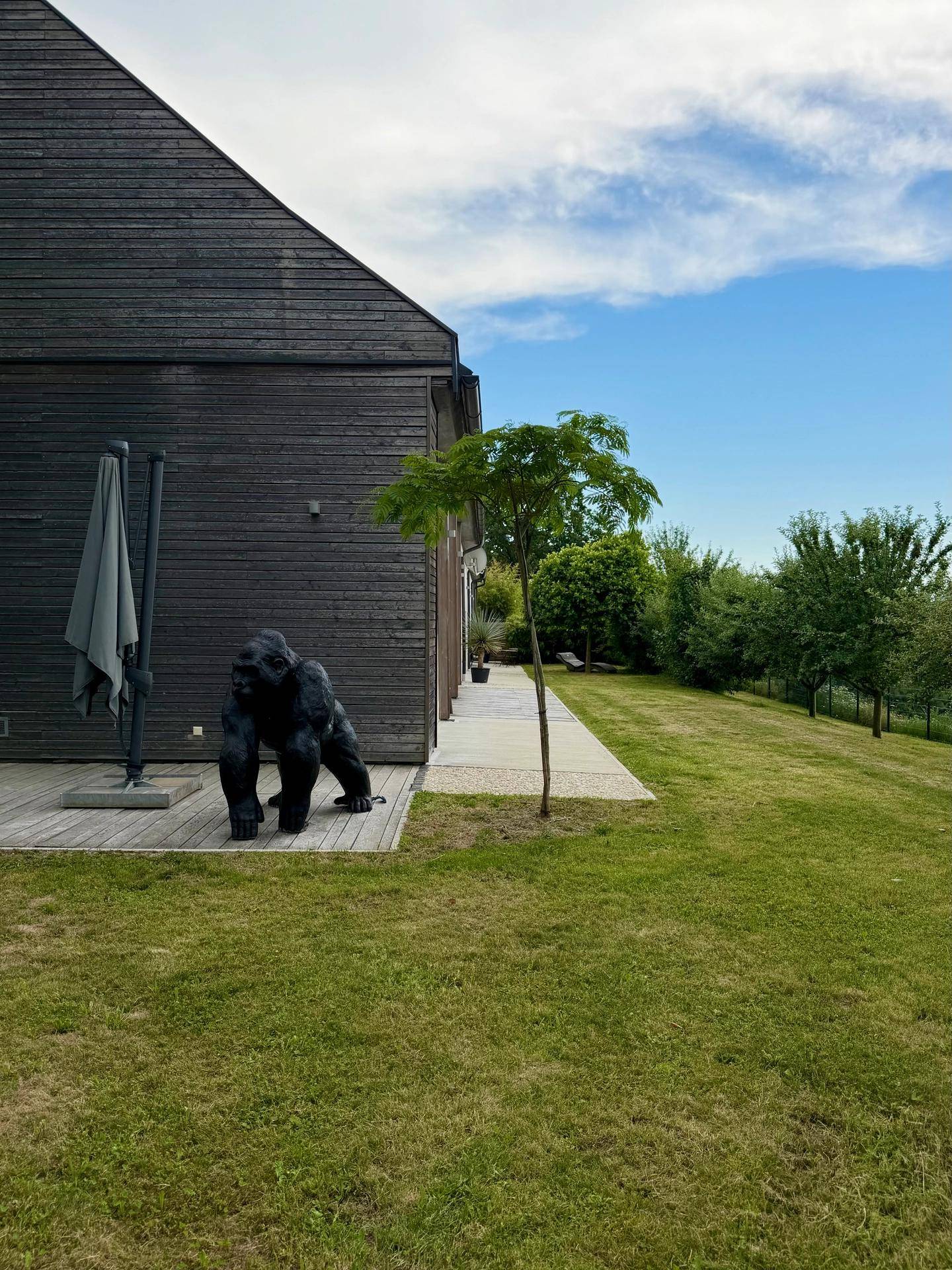 Weitläufiger Rasenbereich neben dem modernen Haus mit Holzfassade und einer Terrasse.