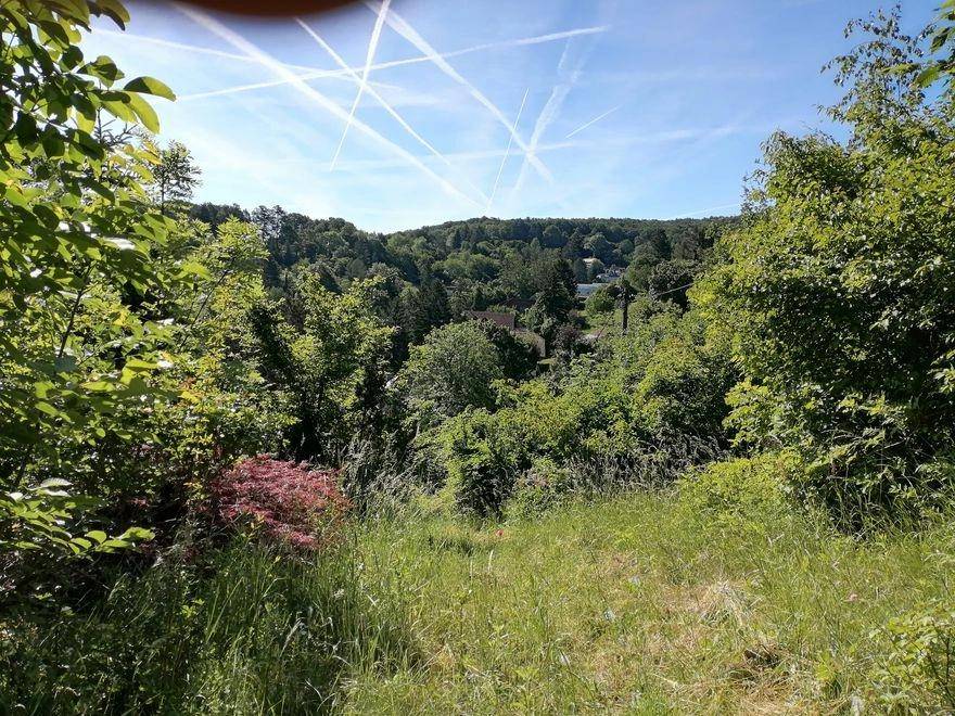 Weitläufiger Blick über eine grüne, bewaldete Landschaft unter klarem blauem Himmel.