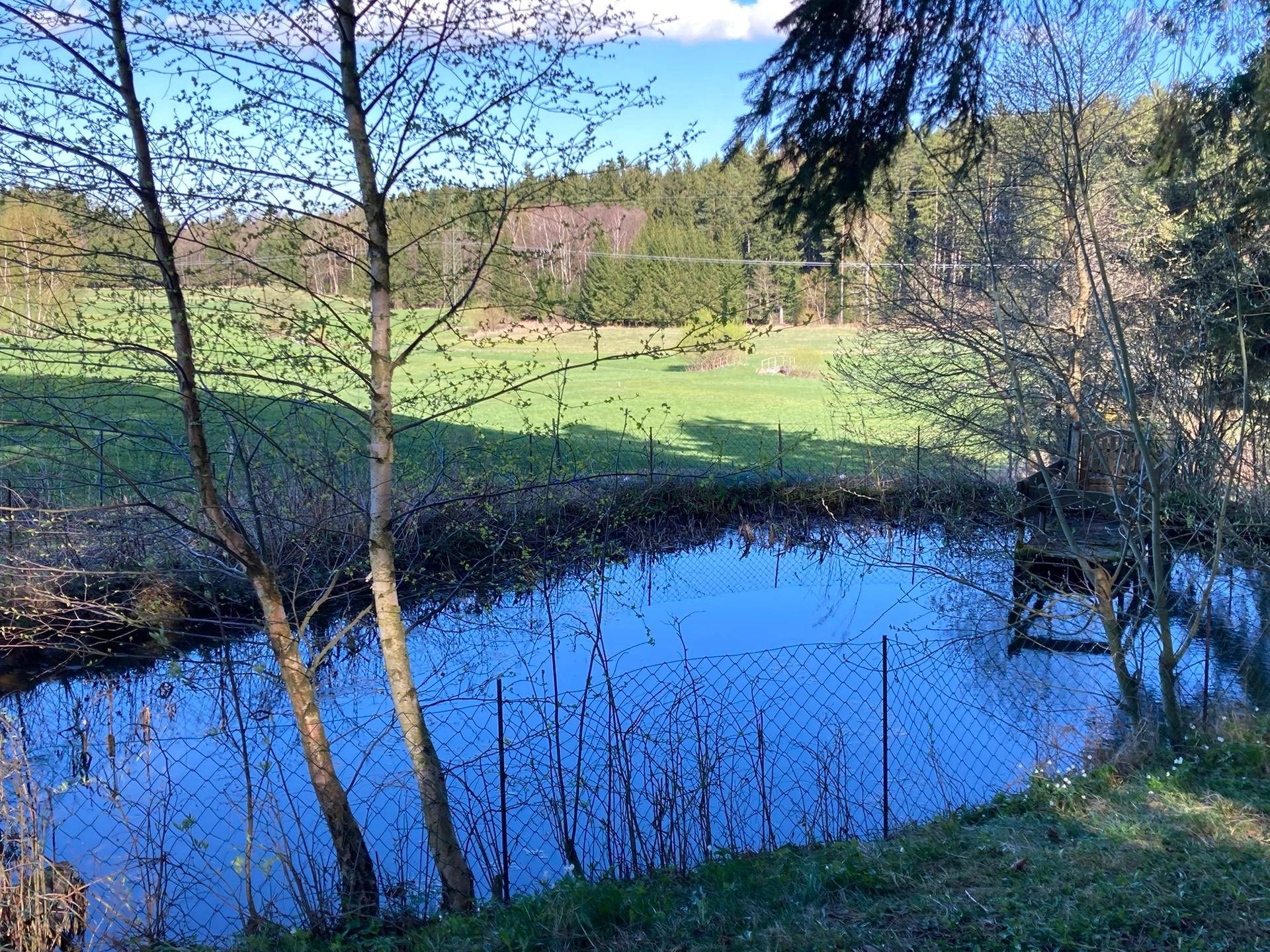 Kleiner Teich