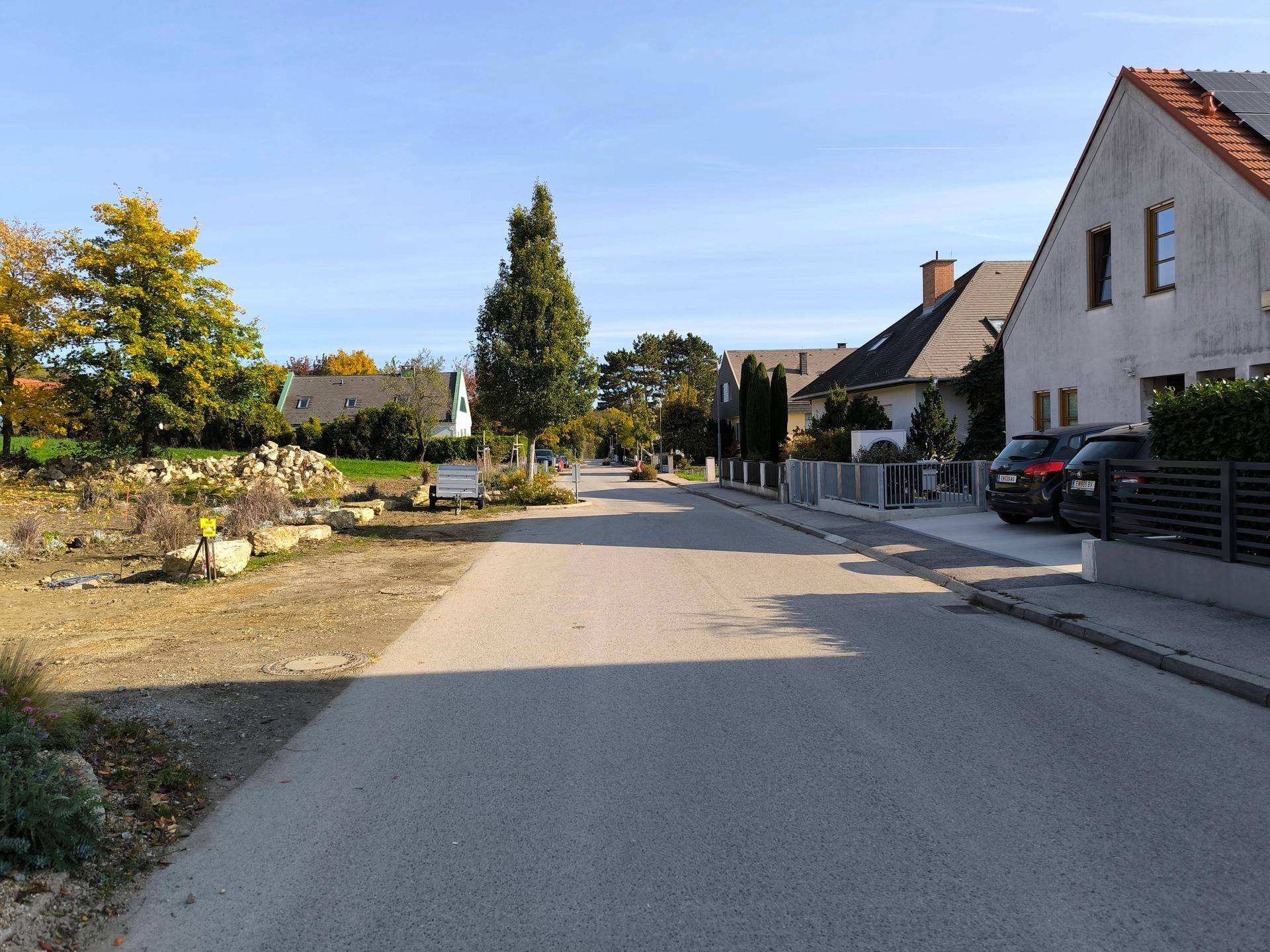 Ruhige Wohnstraße mit gepflegten Häusern, Bäumen und parkenden Autos unter blauem Himmel.