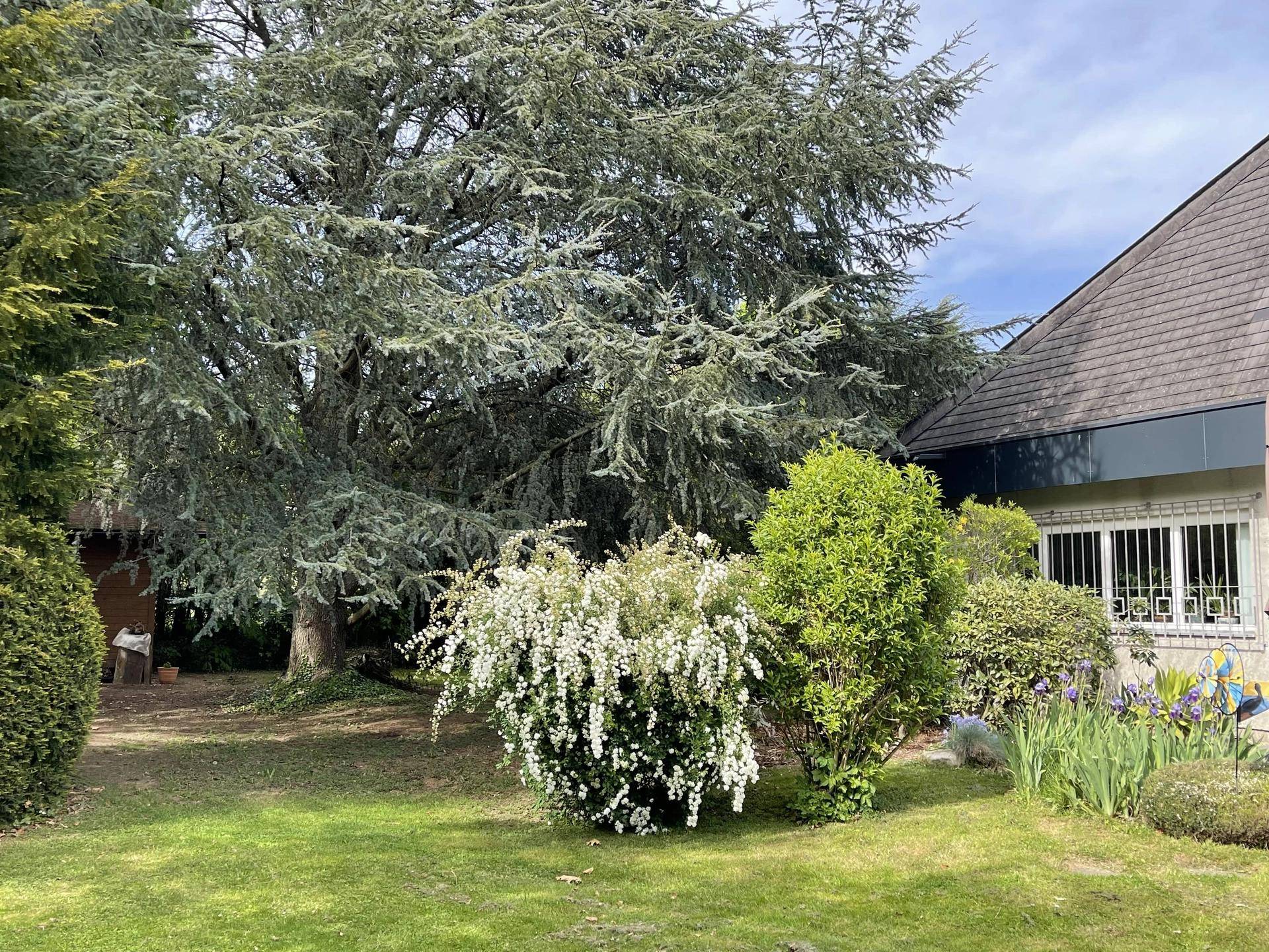 Garten mit Blick zur Gartenhu¨tte-min.jpg