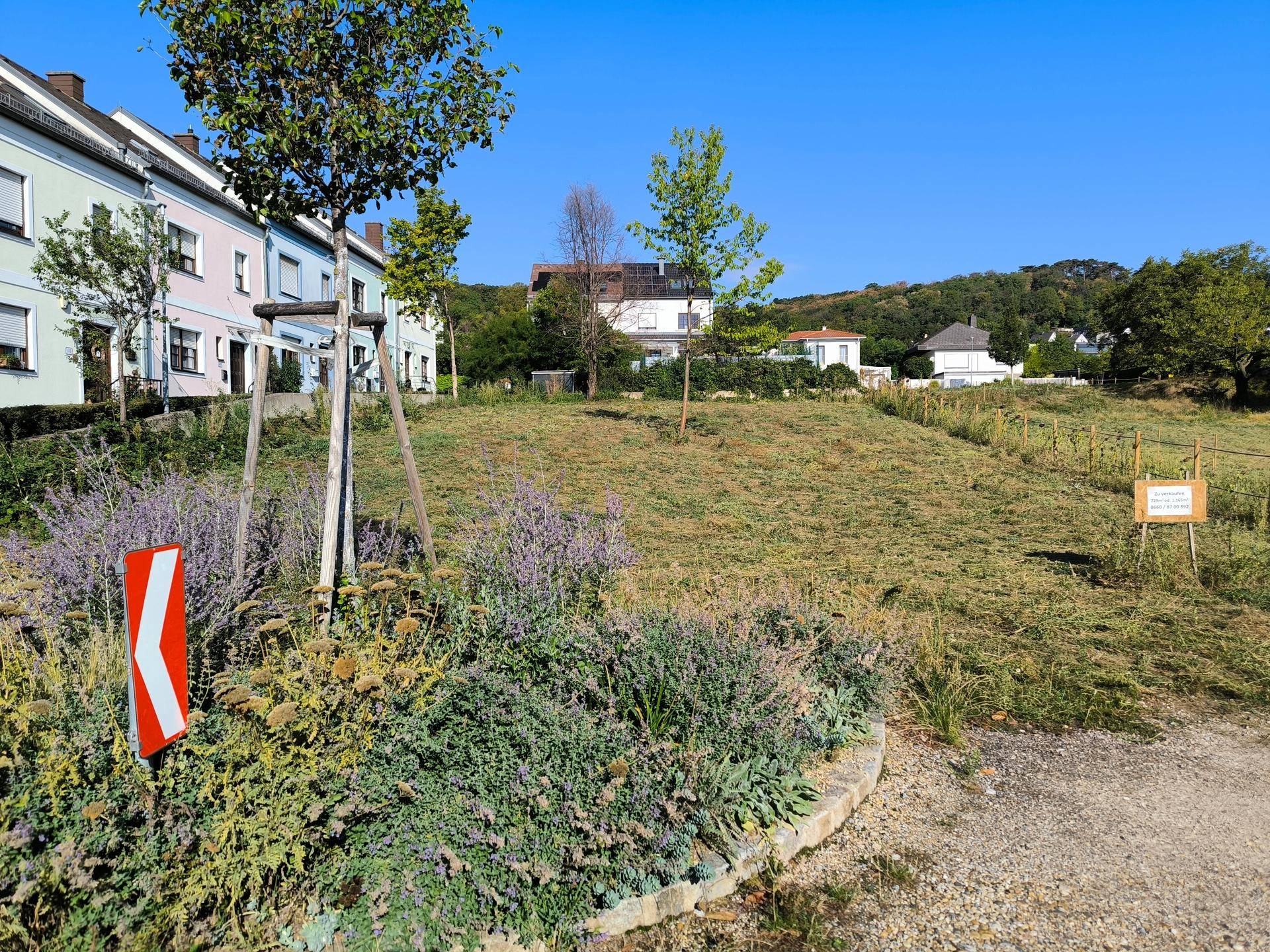 Unbebautes Grundstück mit Grasfläche und Blick auf umliegende Wohnhäuser unter blauem Himmel.