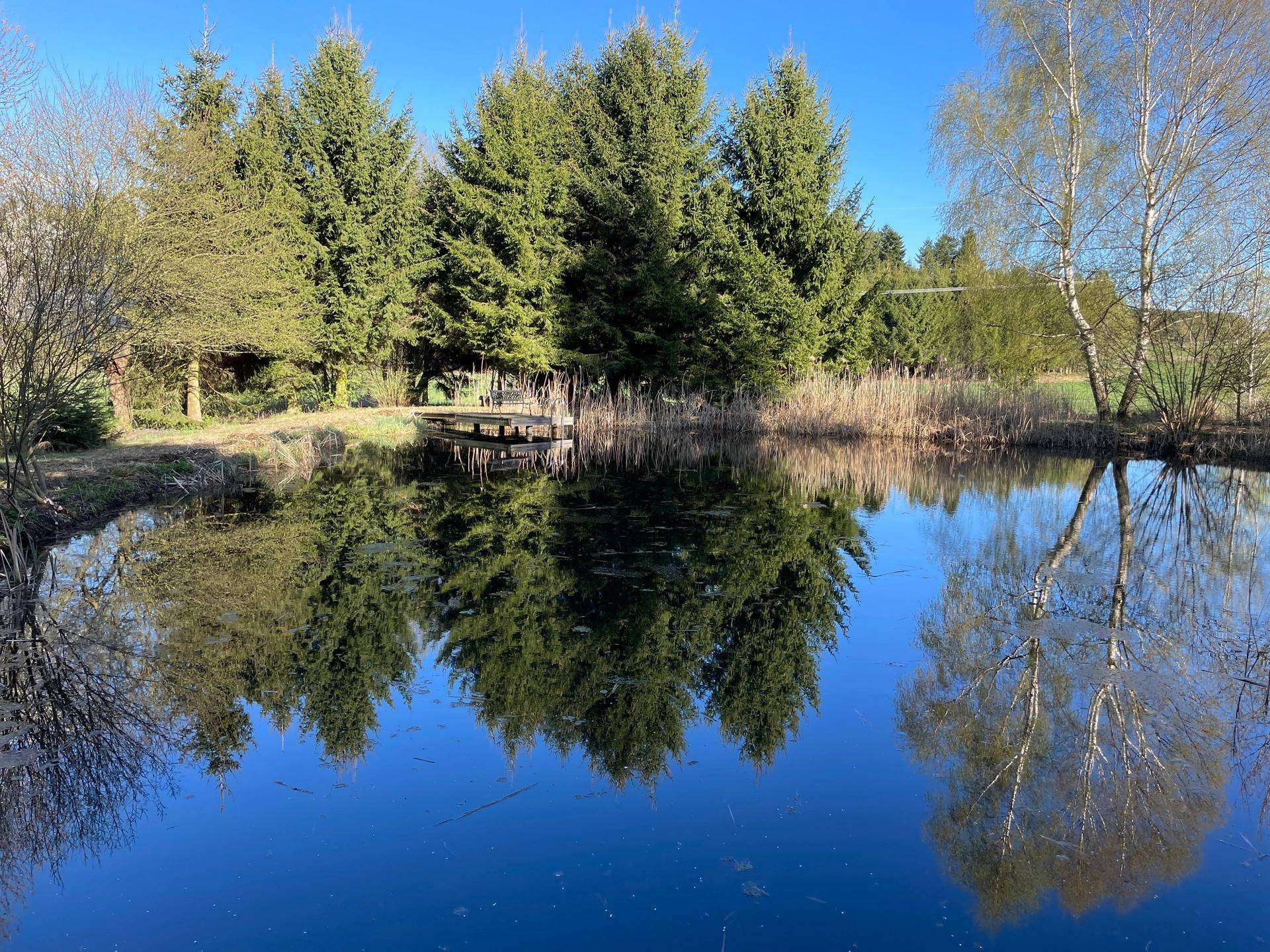 Großer Teich