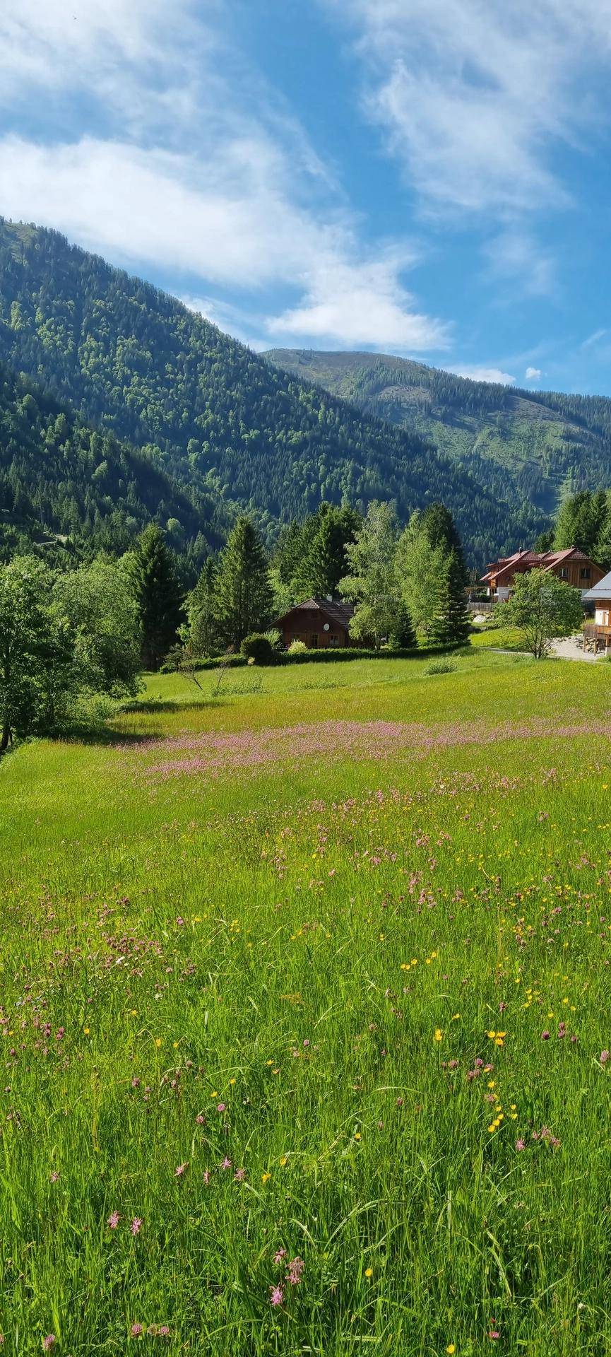 Donnersbachwald 172