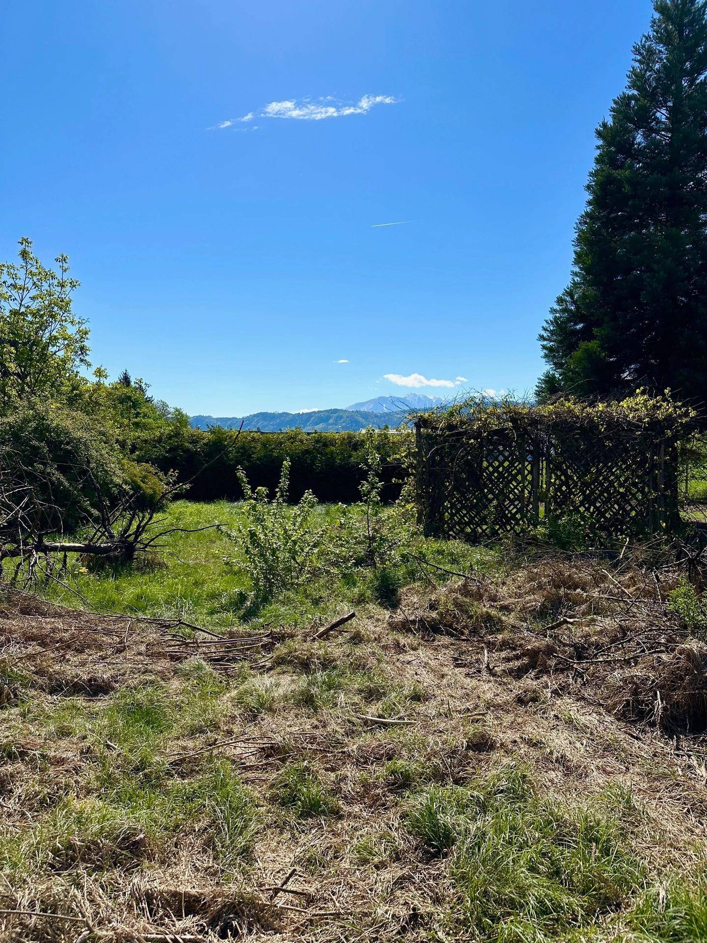 Offenes Grundstück mit Gras und Büschen, im Hintergrund sind Berge unter einem klaren Himmel sichtbar.