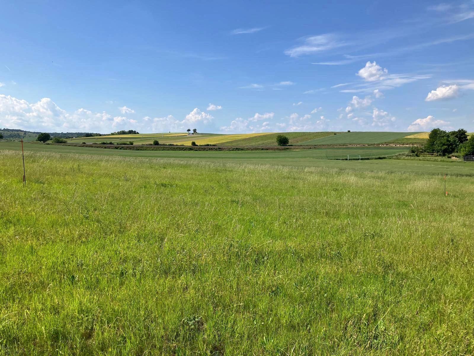 Weites grünes Feld mit gelben Ackerflächen und bewaldeten Hügeln in der Ferne.
