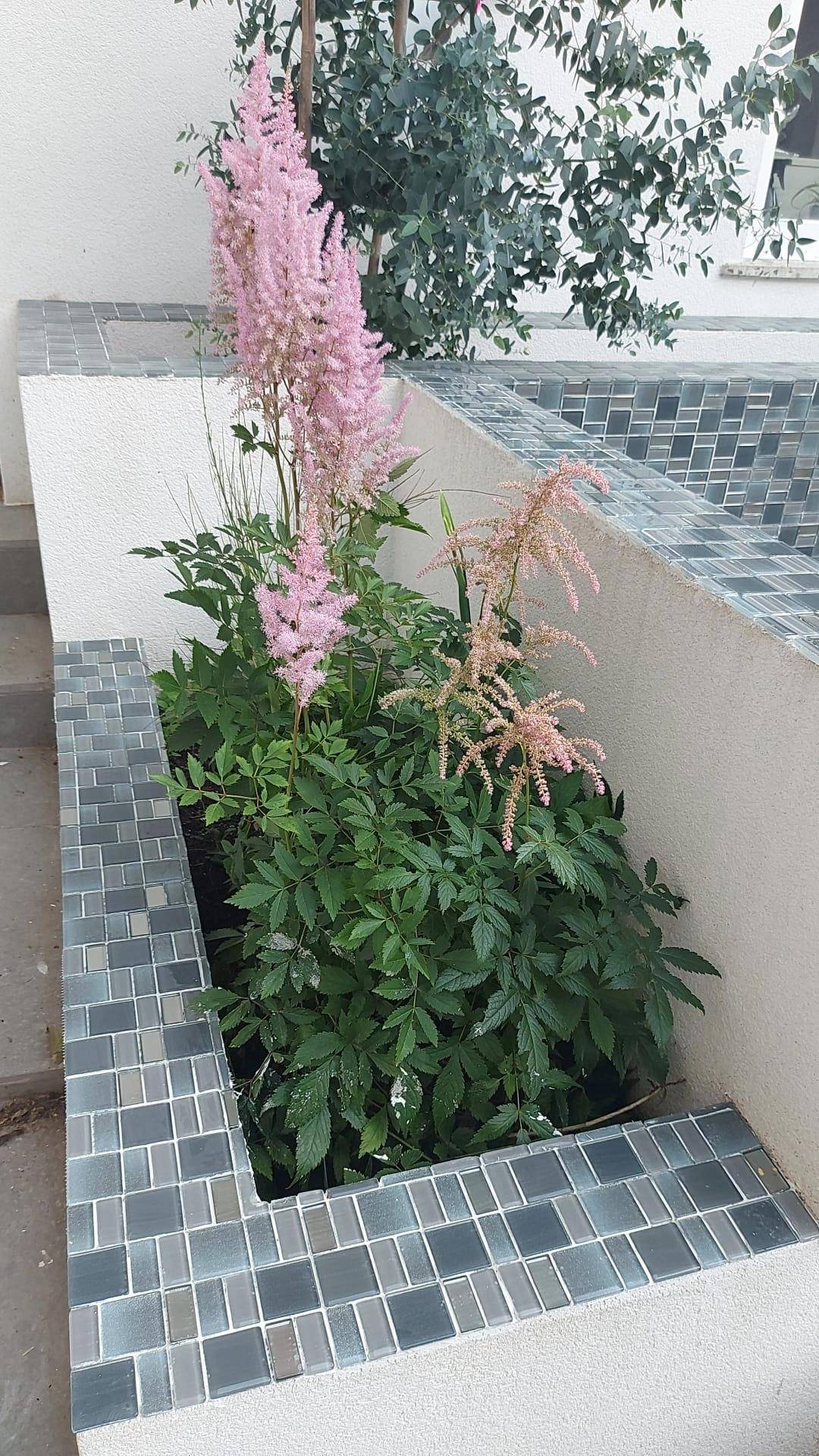 Bepflanztes Hochbeet mit rosa Blumen und modernen Fliesenakzenten im Außenbereich des Gartens.