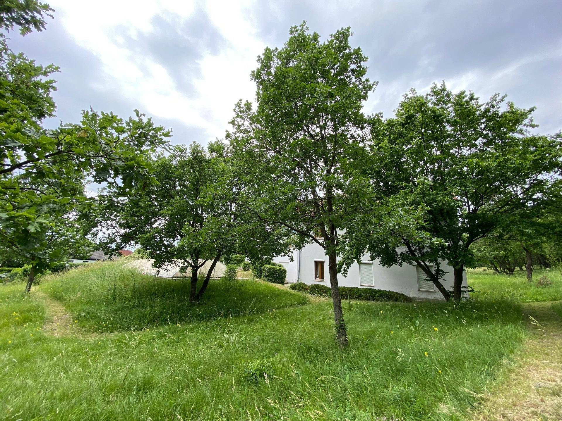 Seitenansicht des Hauses von einer grünen Wiese aus, umgeben von Bäumen.