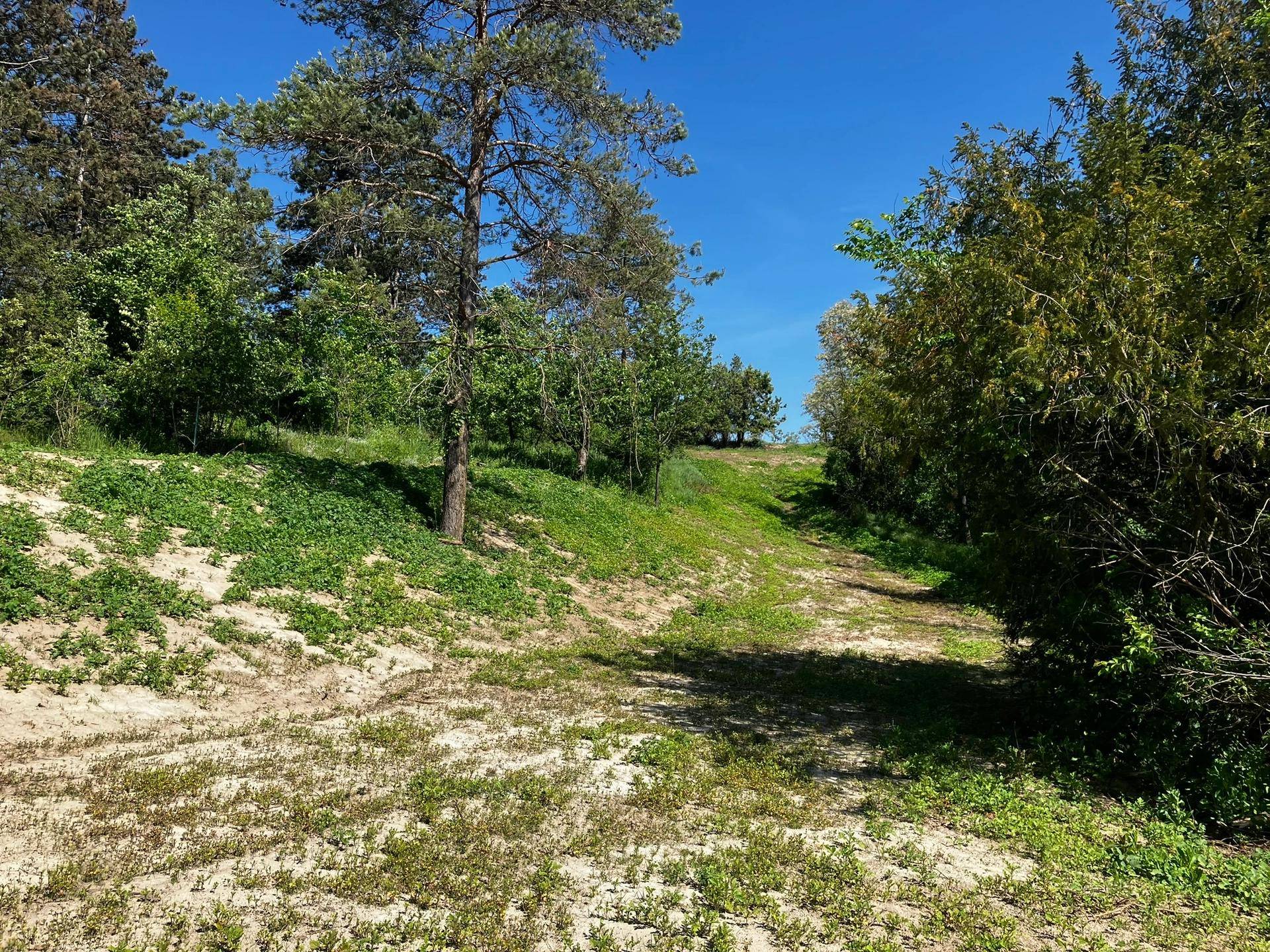 22Grund-Ostgrenze.JPEG