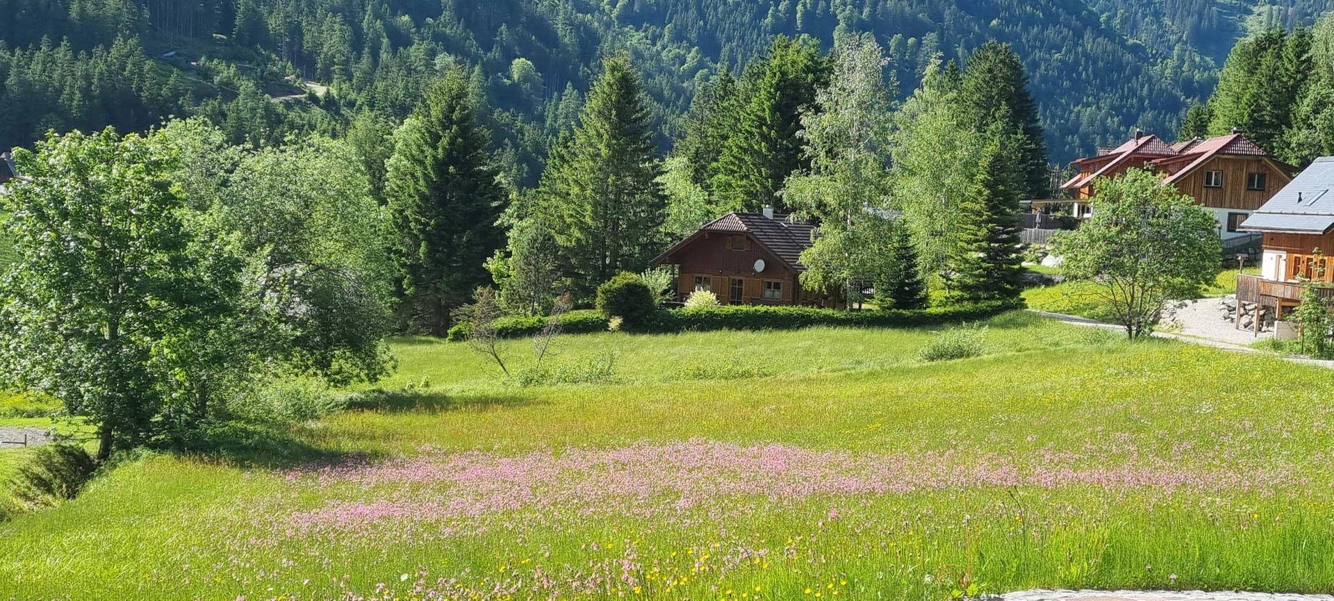 Donnersbachwald 172
