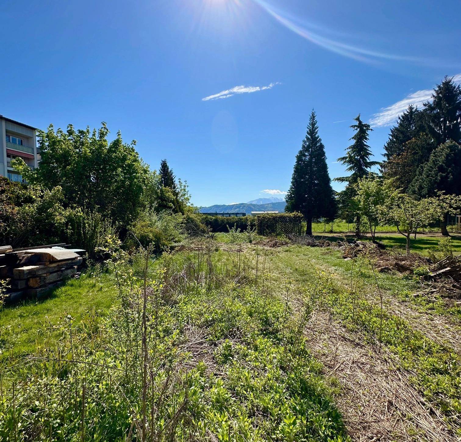 Weitläufiges, sonniges Grundstück mit Gras und Büschen, umgeben von Bäumen und Bergen im Hintergrund.
