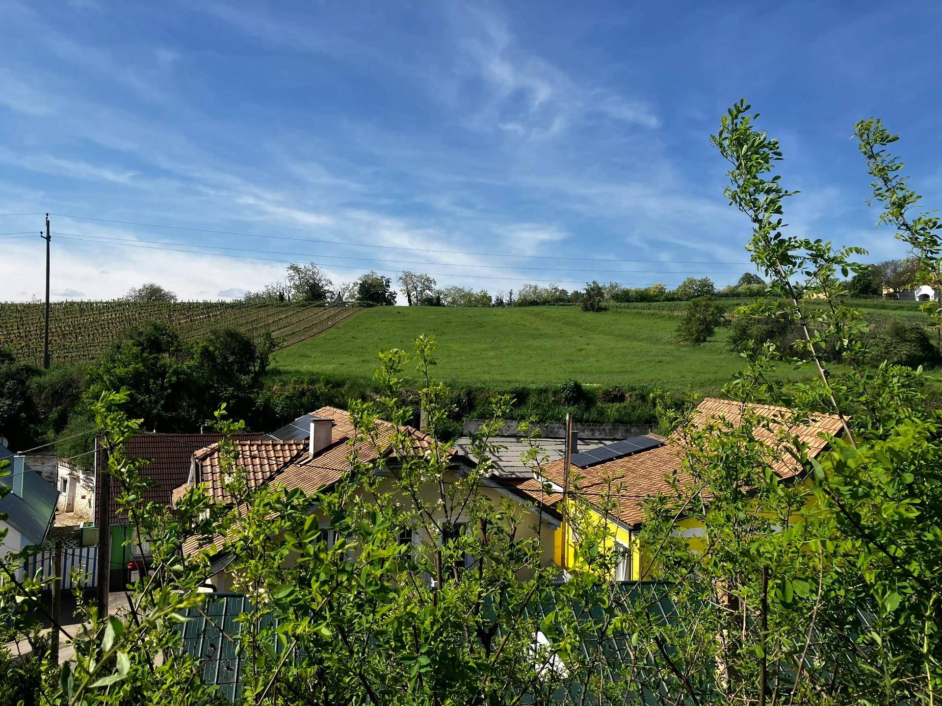 20Wald-Etage.JPEG