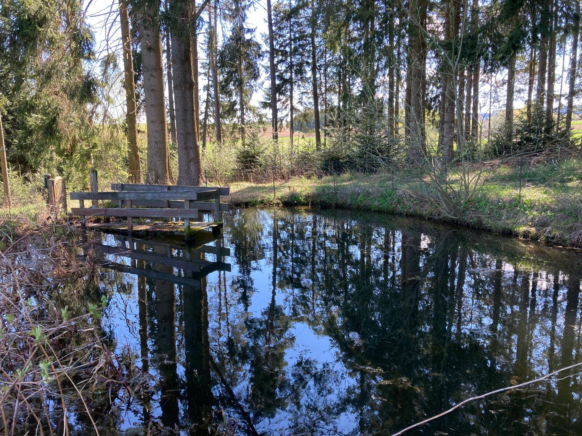 Kleiner Teich