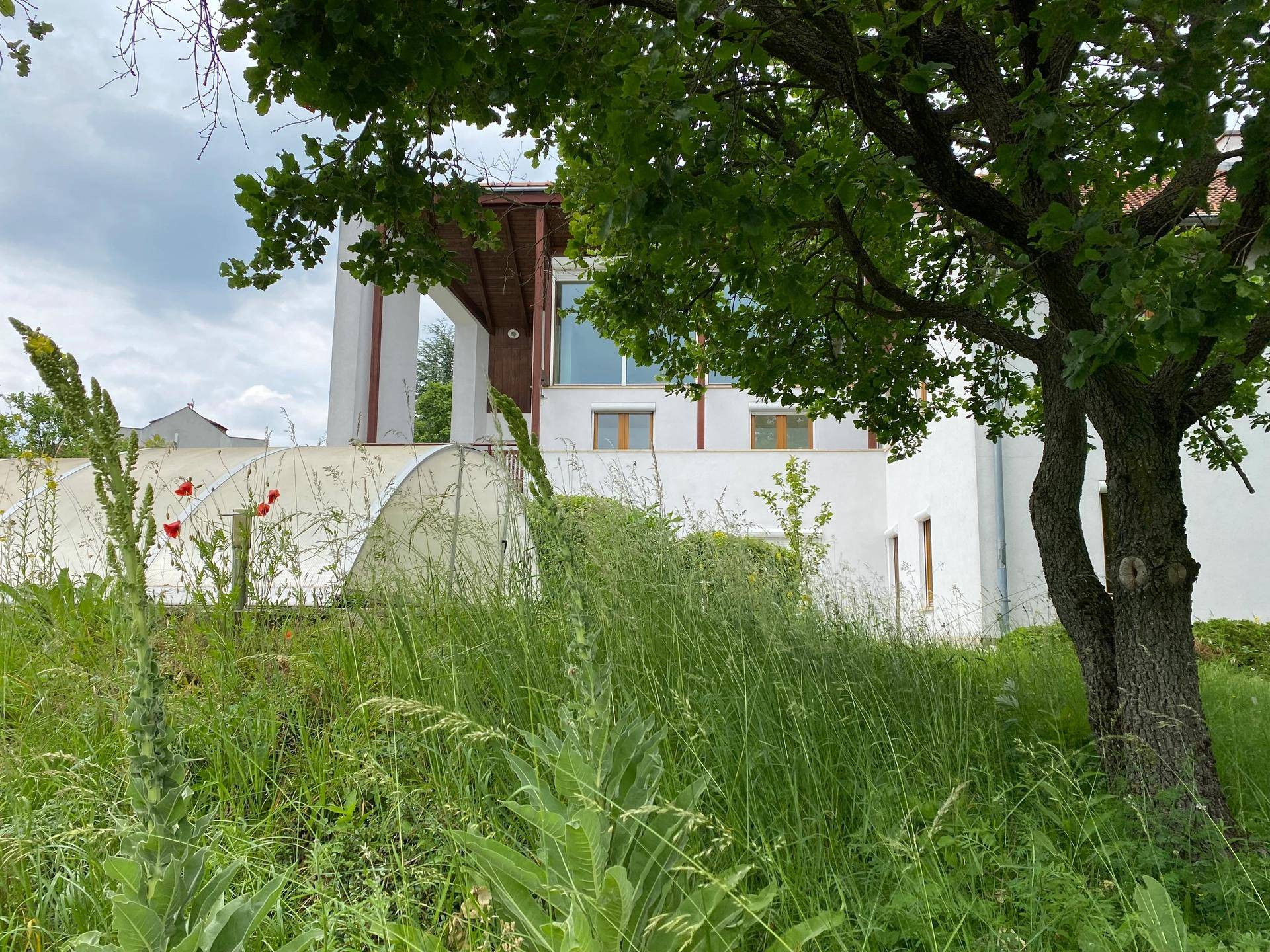 Ansicht des Hauses durch Bäume und hohes Gras, mit weißer Fassade und Fenstern.