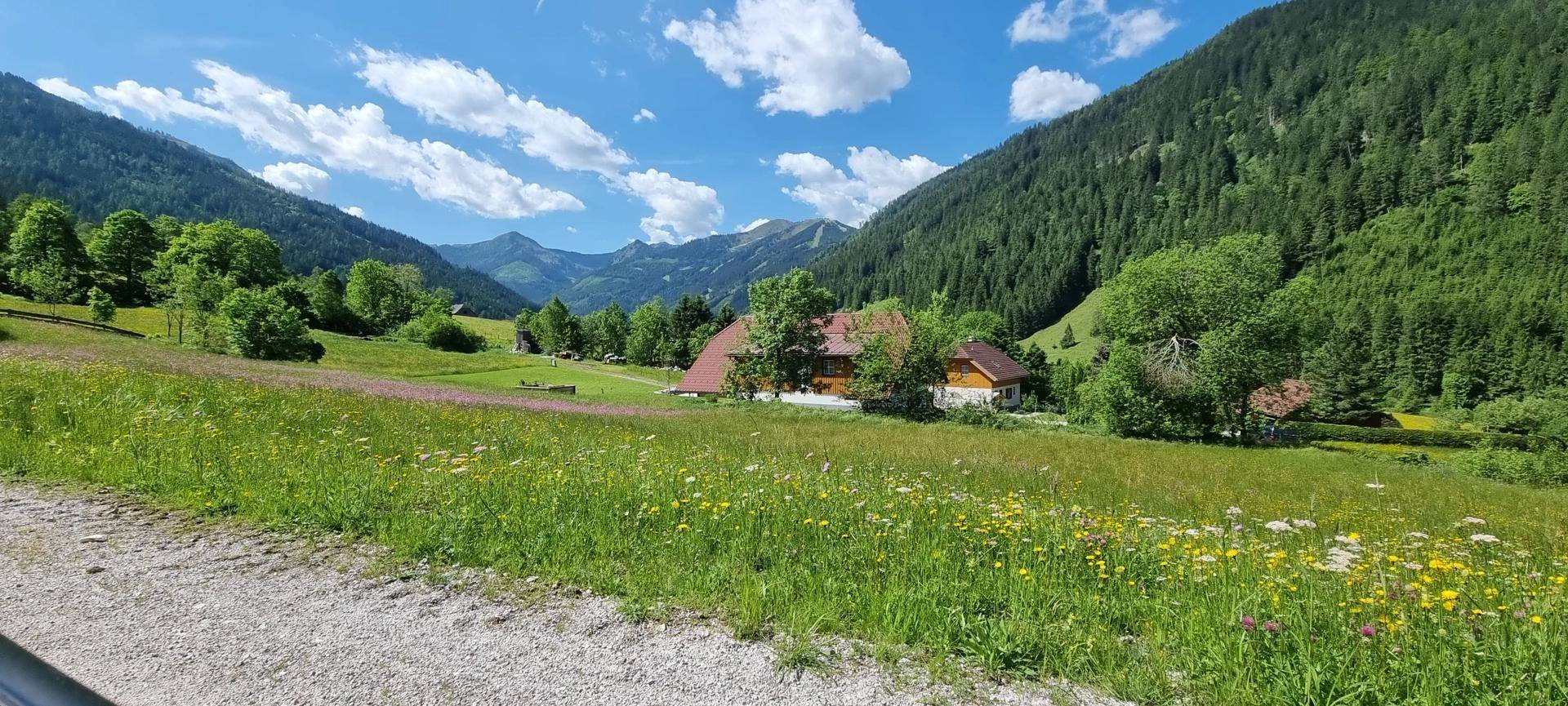 Donnersbachwald 172