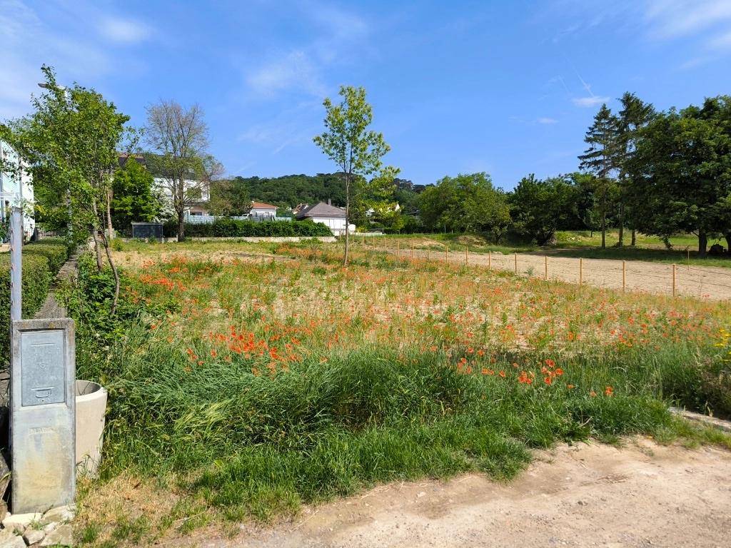 Offenes Grundstück mit blühenden Wildblumen und umgebender Wohnbebauung unter blauem Himmel.