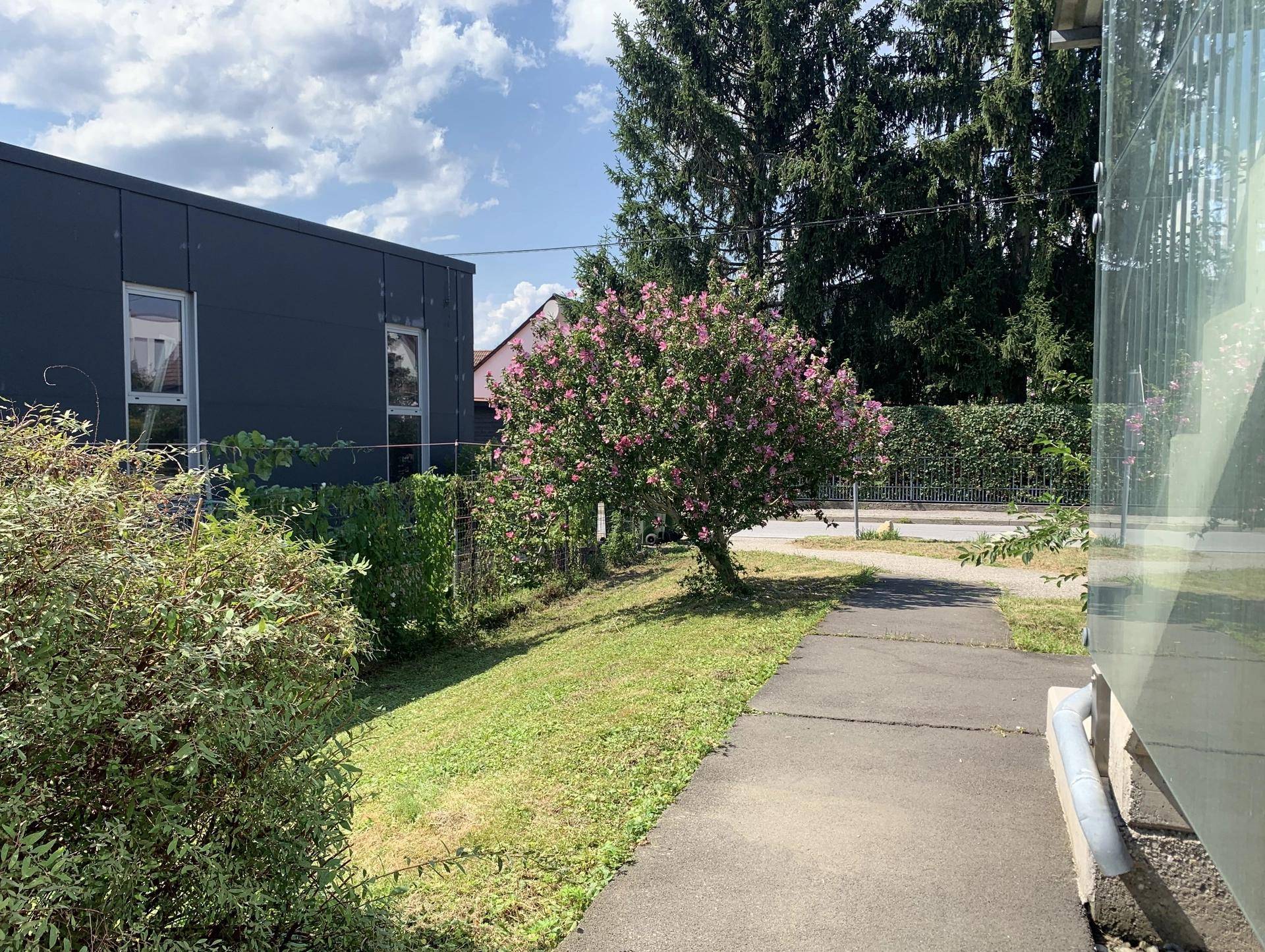 Außenansicht eines modernen Gebäudes mit einem Weg und blühenden Bäumen in der Umgebung.