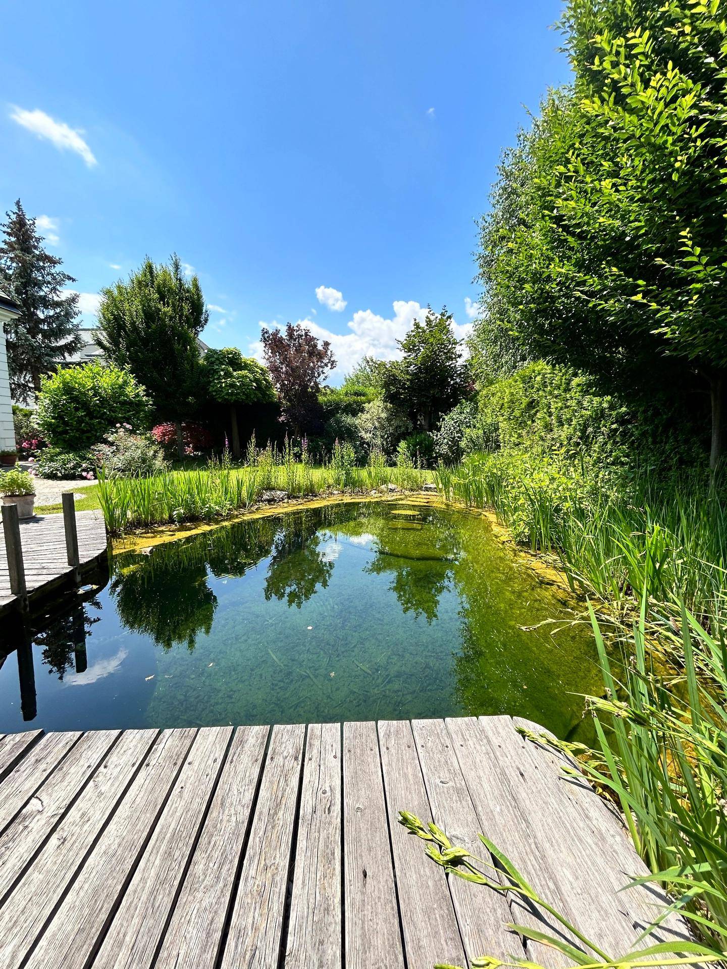 Badesteg im Garten