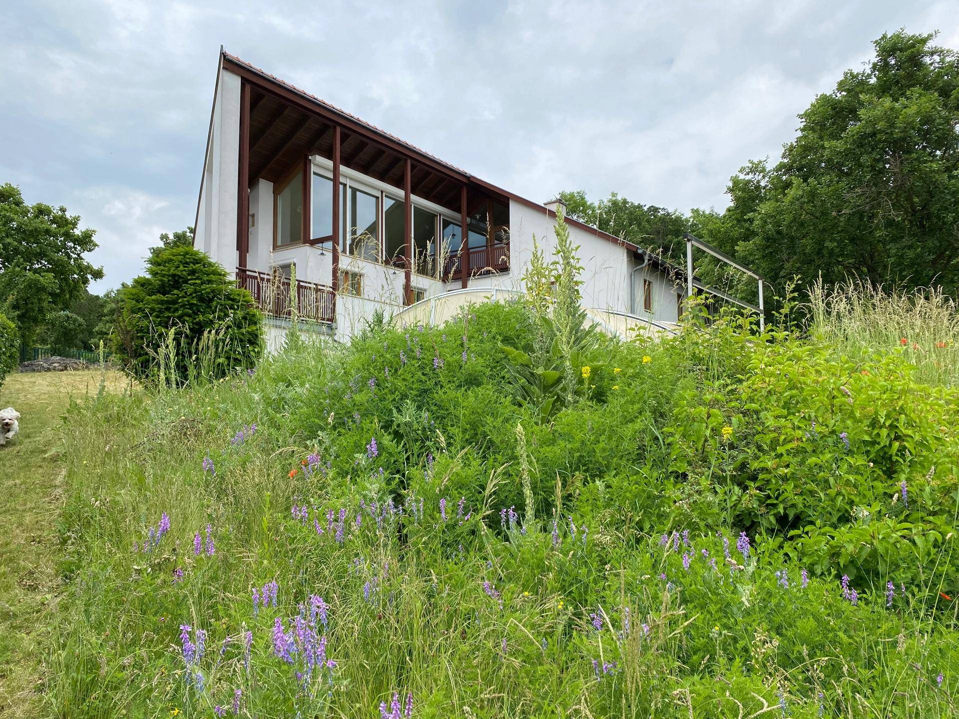 Seitenansicht des Hauses von einem grünen Hang aus, umgeben von Bäumen und Wildblumen.