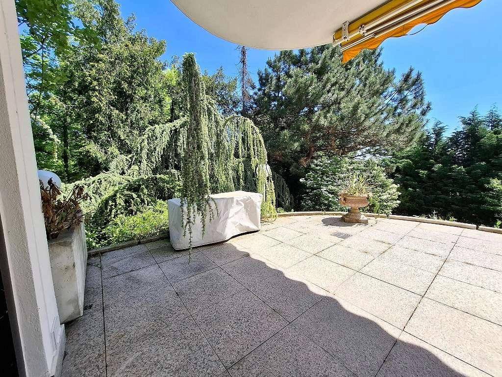 Sonnige Terrasse mit Fliesenboden, umgeben von üppiger Vegetation und hohen Bäumen.