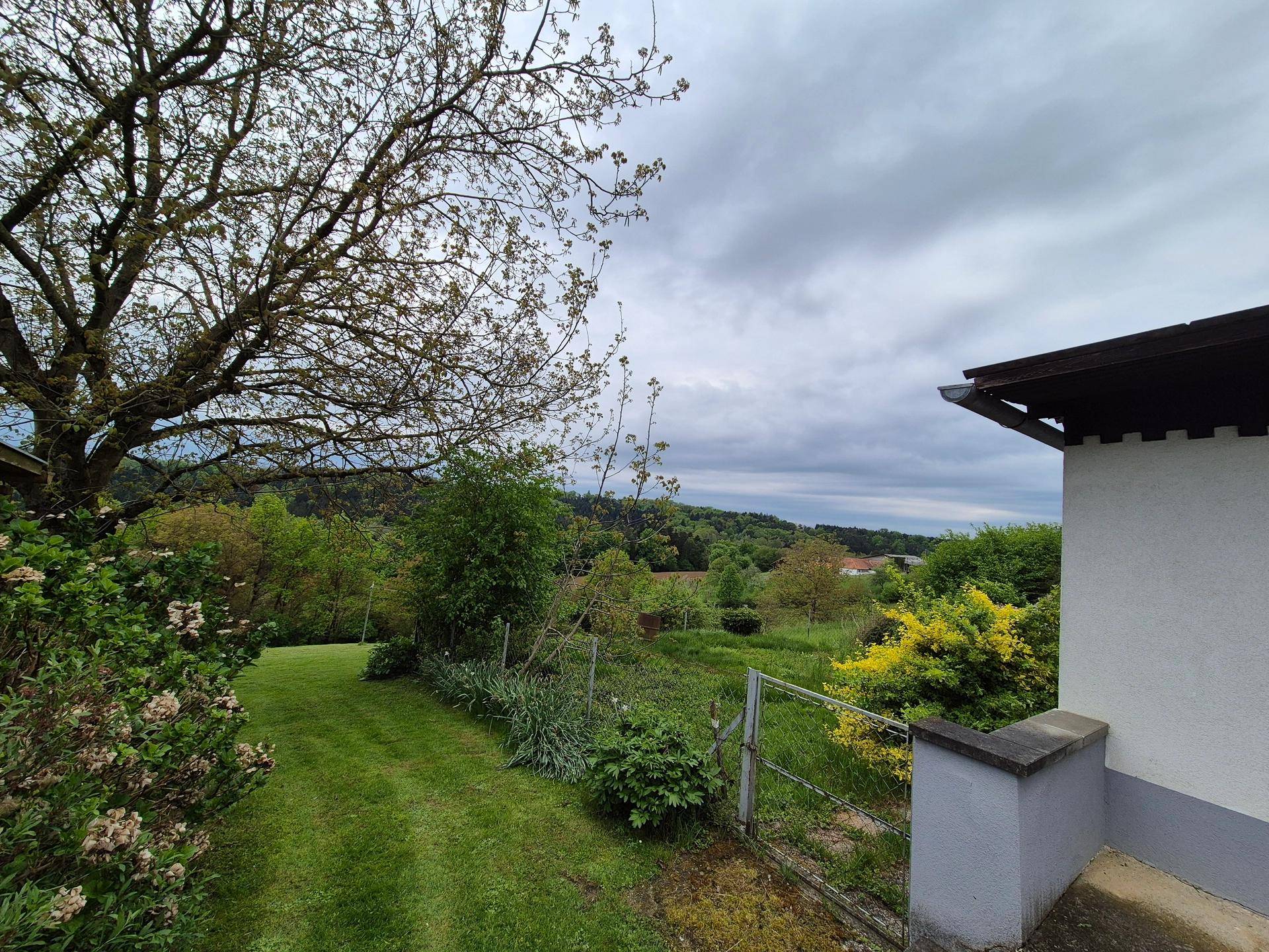 Blick in den Garten