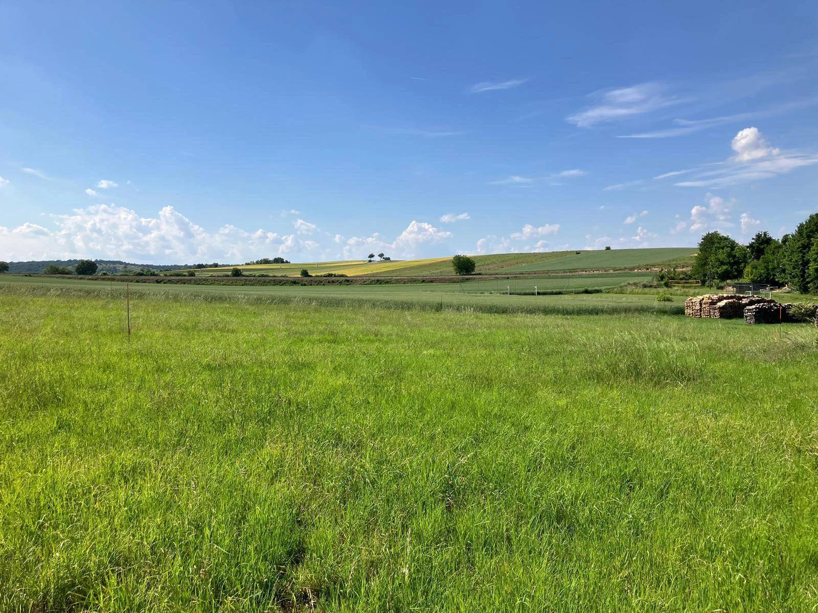 Grüne Wiese mit Holzstapeln, gelben Feldern und bewaldeten Hügeln unter blauem Himmel.