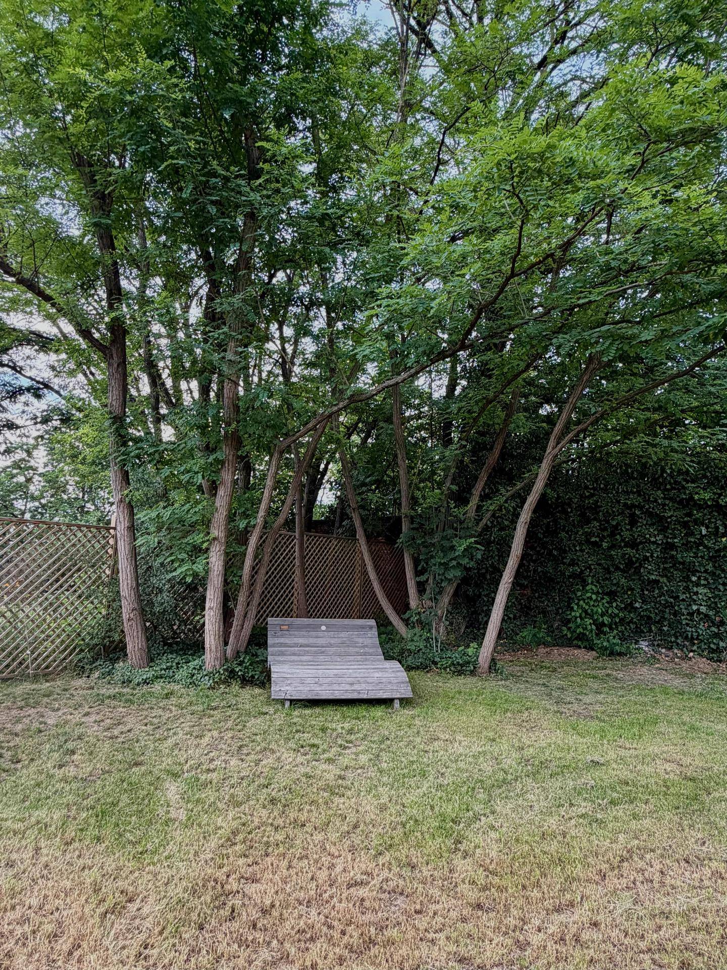 Ruhiger Gartenbereich mit einer Holzliege, umgeben von hohen Bäumen und viel Grün.