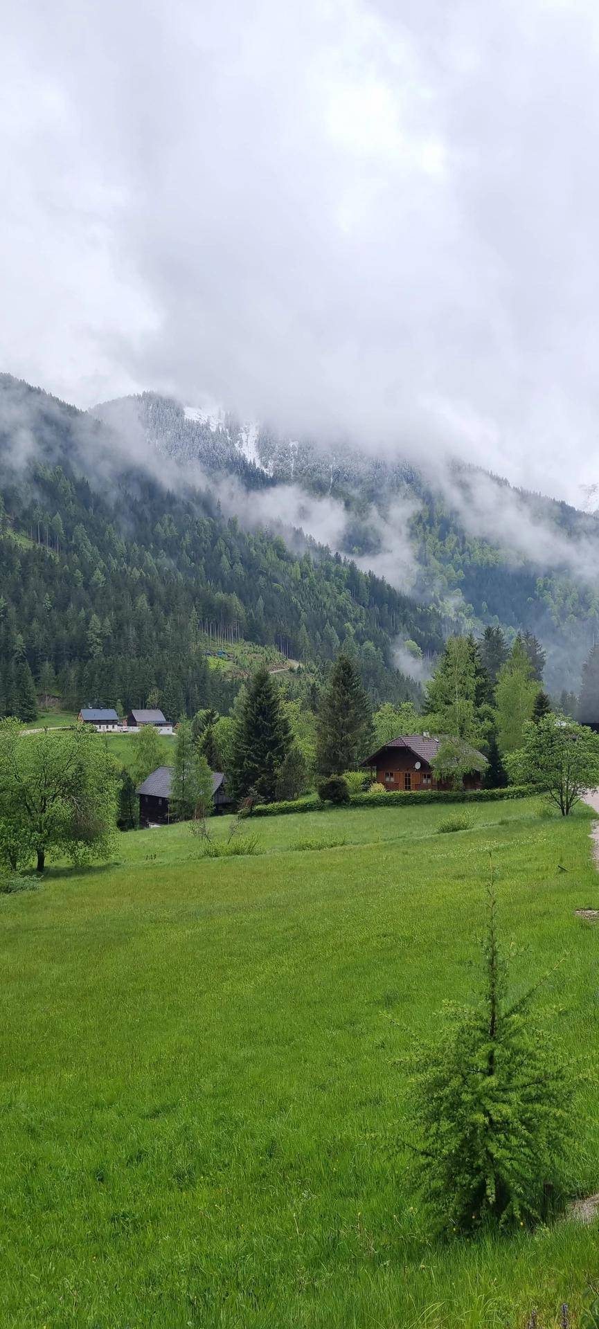 Donnersbachwald 172