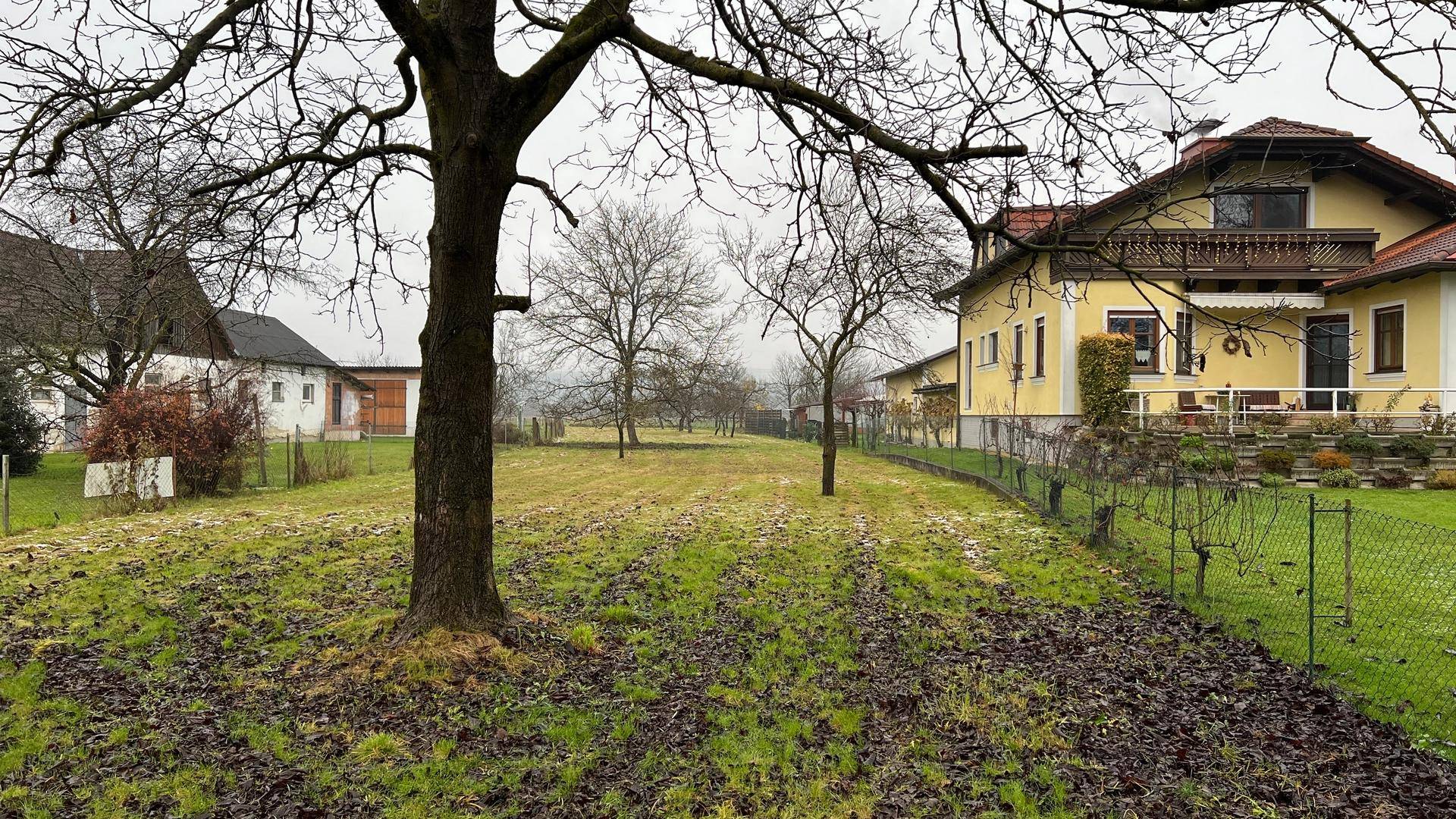 im Herbst