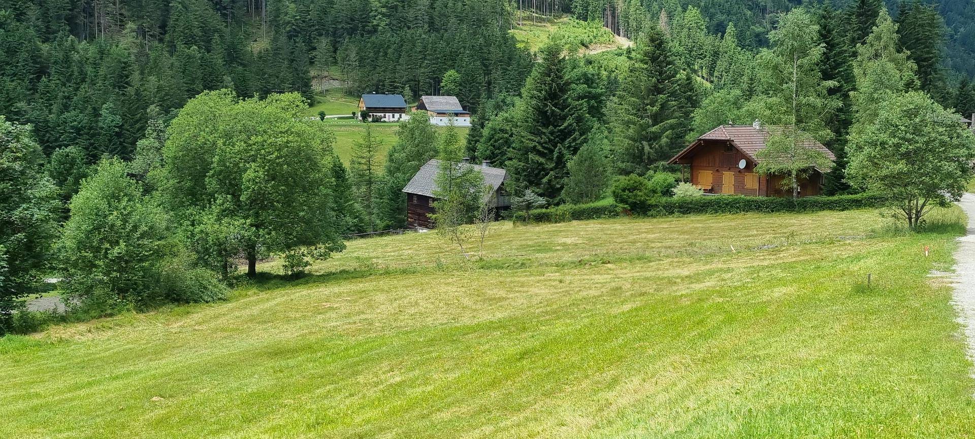 Donnersbachwald 172
