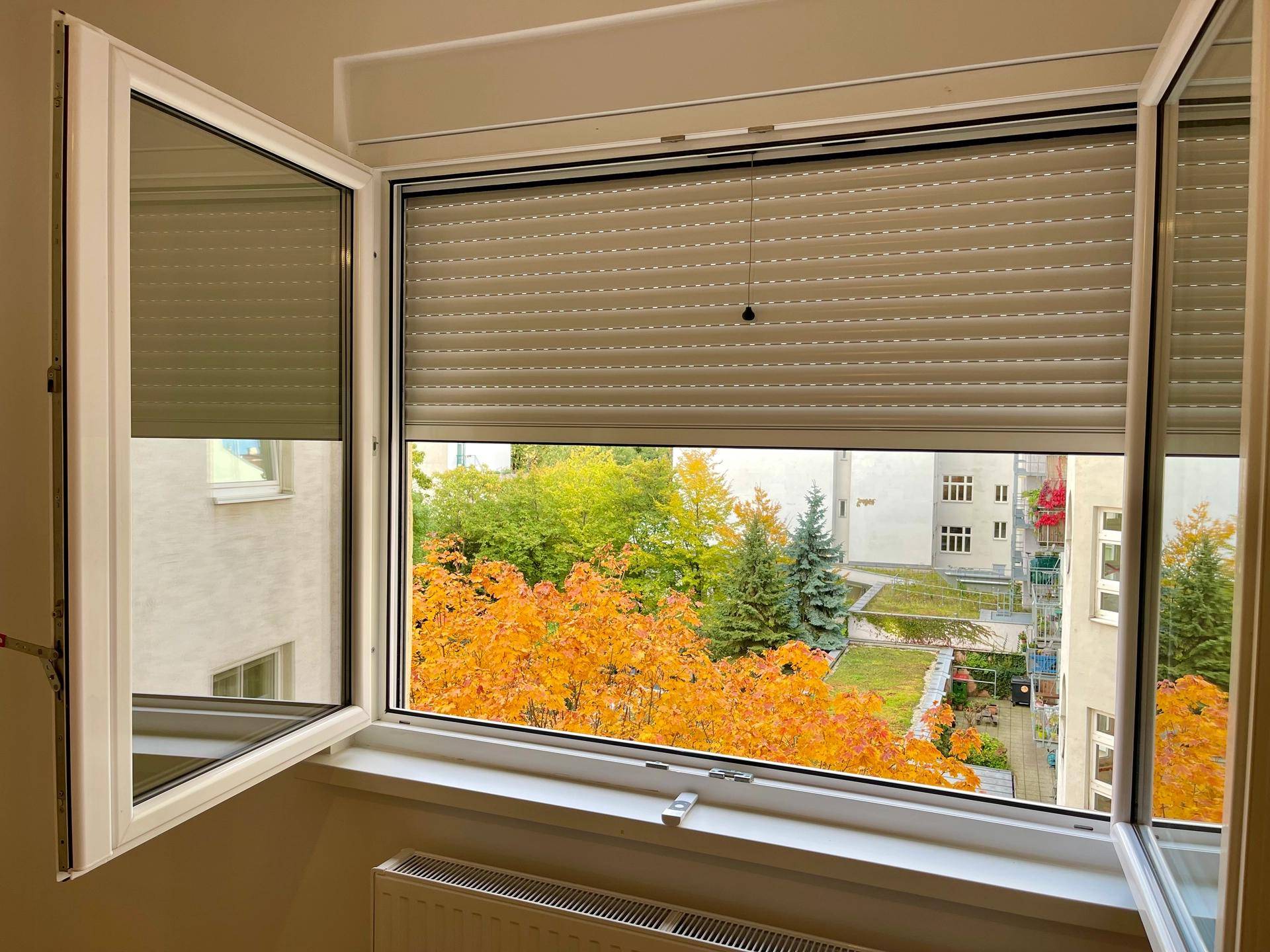 Fenster