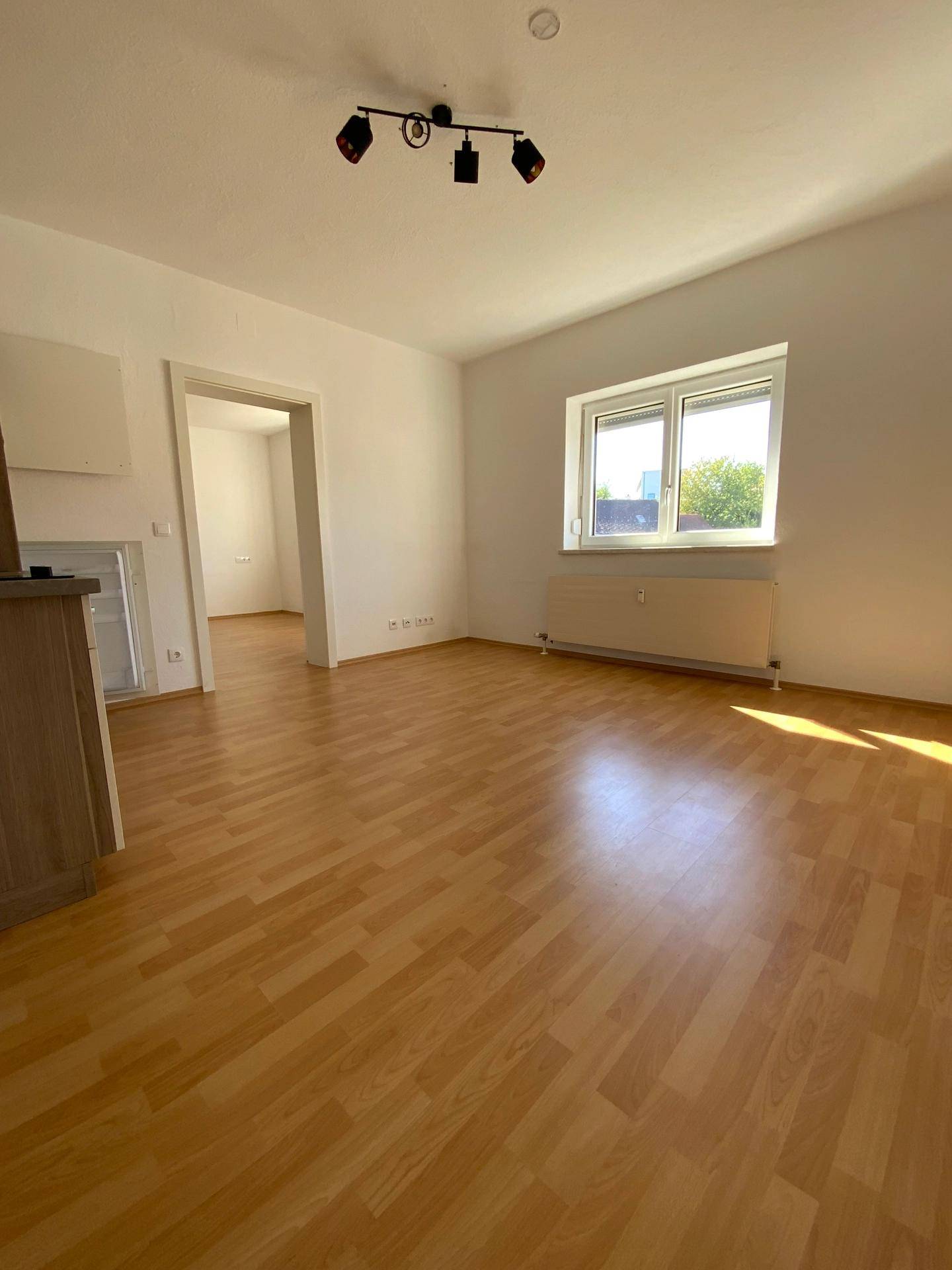 Wohnzimmer/Essimmer/Küche