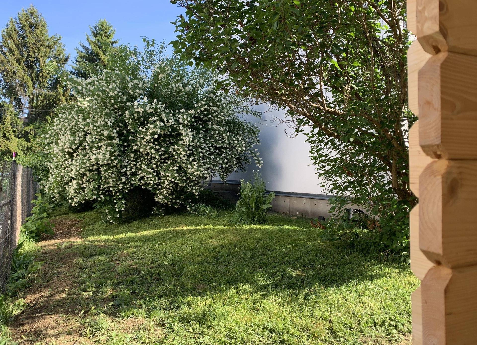 Grüne Gartenfläche mit üppigen Bäumen und Sträuchern, die eine natürliche Umgebung schaffen.