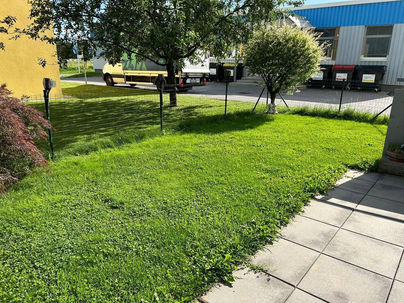 Top 3 Garten Bild 3.jpg