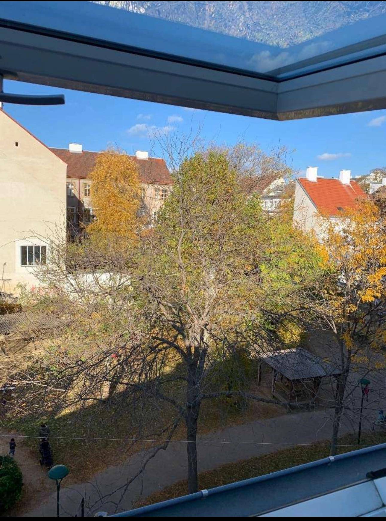 Blick vom Wohnsalon Richtung Park